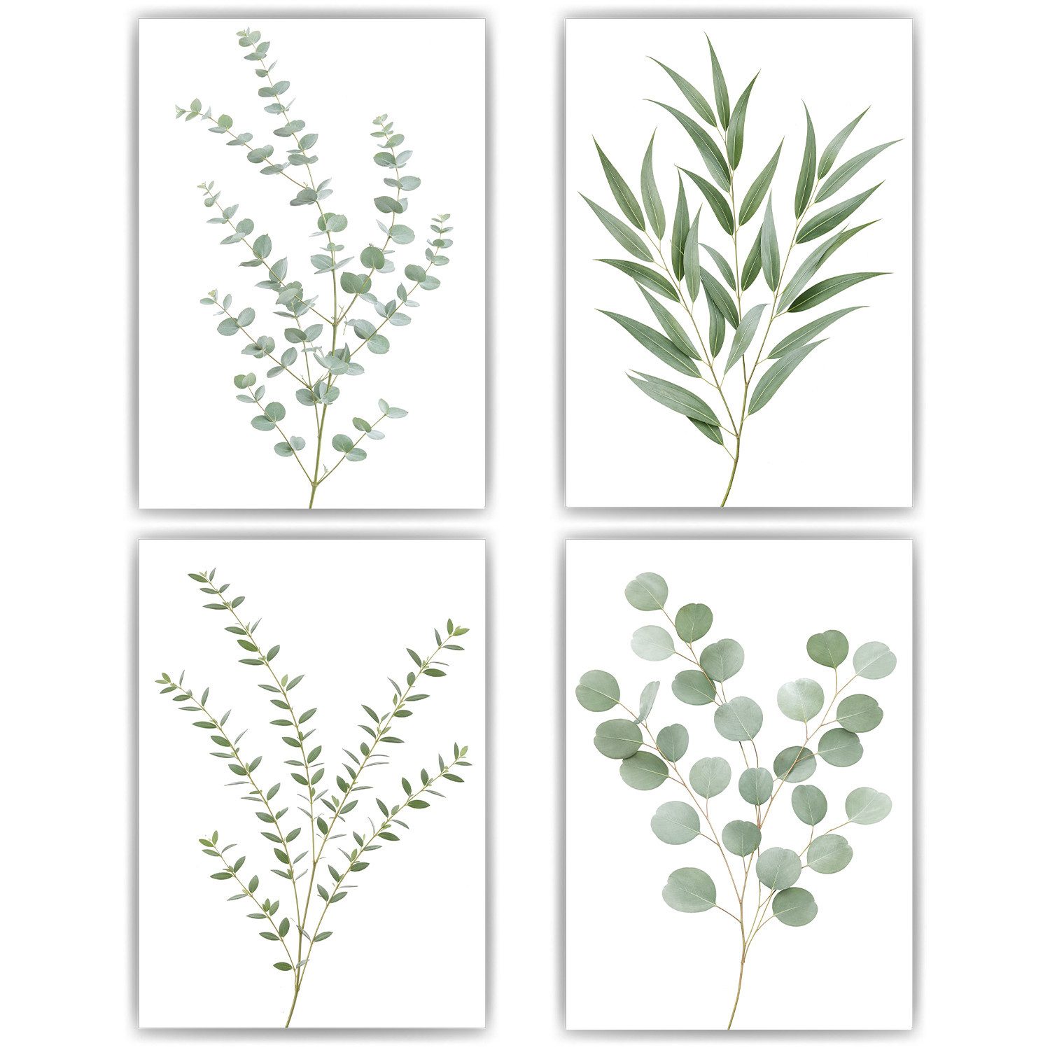 Tigerlino Poster Eukalyptus Poster 4er Set Botanische Wandbilder Salbeigrün Modern