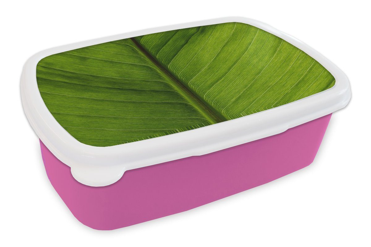 MuchoWow Lunchbox Blätter - Textur - Grün, Kunststoff, (2-tlg), Brotbox für Erwachsene, Brotdose Kinder, Snackbox, Mädchen, Kunststoff rosa