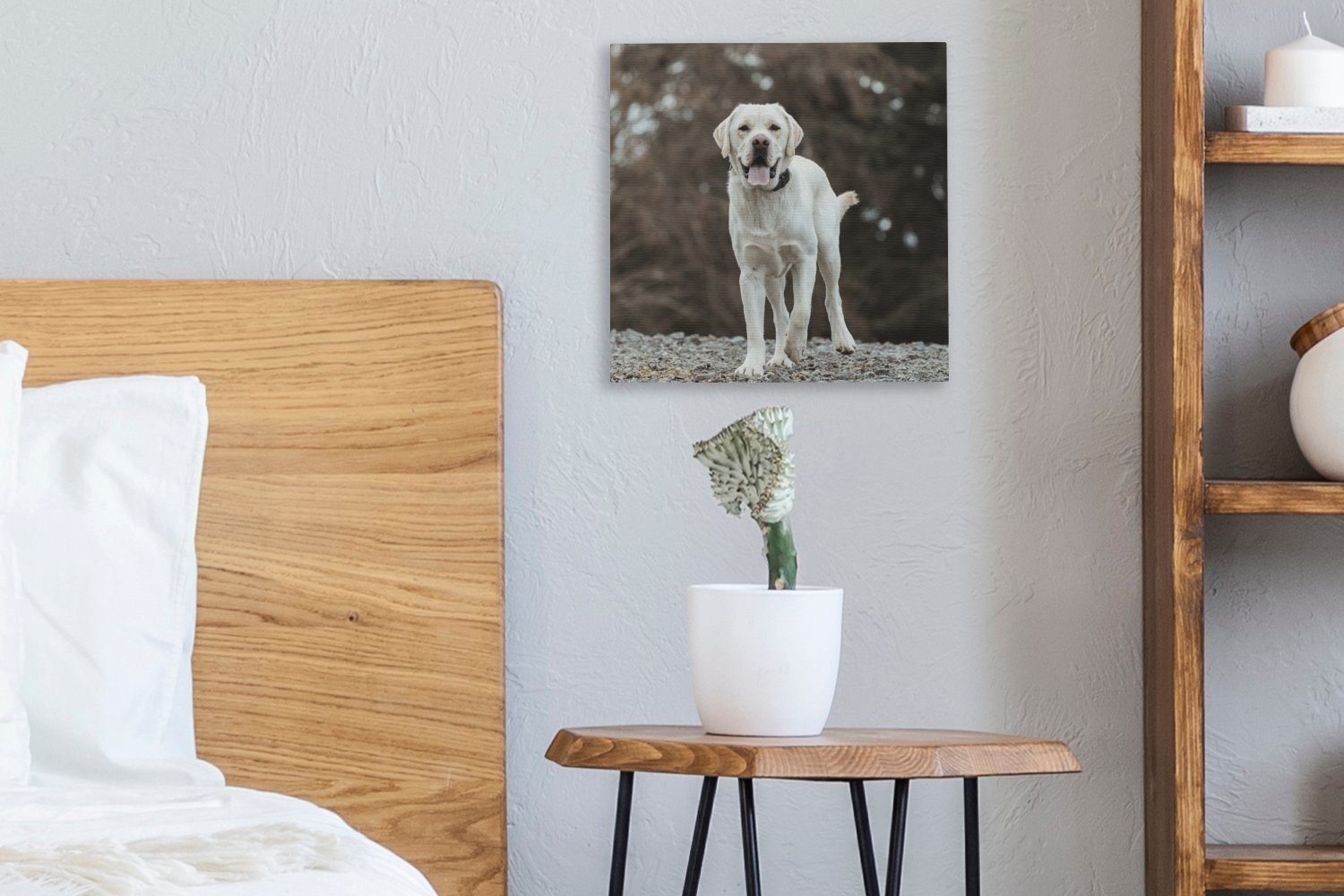 OneMillionCanvasses® Leinwandbild Ein weißer St), (1 Wohnzimmer Retriever Labrador Schlafzimmer auf für Bilder den Leinwand Steinen