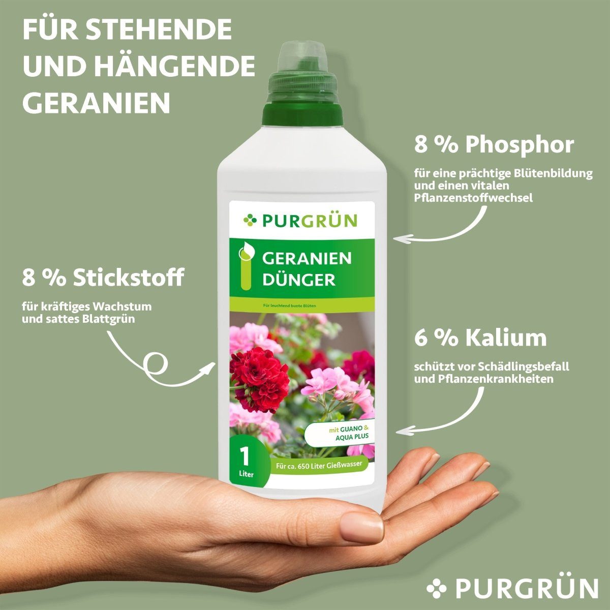 Thumbnail - Purgrün Blumendünger Purgrün Geraniendünger, NPK 8+8+6, Guano & Aqua Plus, 1L, Flüssigdünger, Fördert die Wasseraufnahme...
