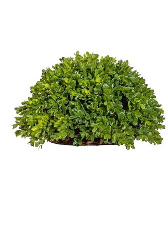 Creativ green Kunstpflanze »Buchsbaum Halbkugel« Buc...