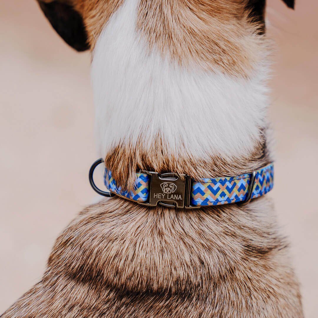 Hey Lana Hunde-Halsband Hundehalsband Kunterbunt – Mocca/Blau – Gepolstert