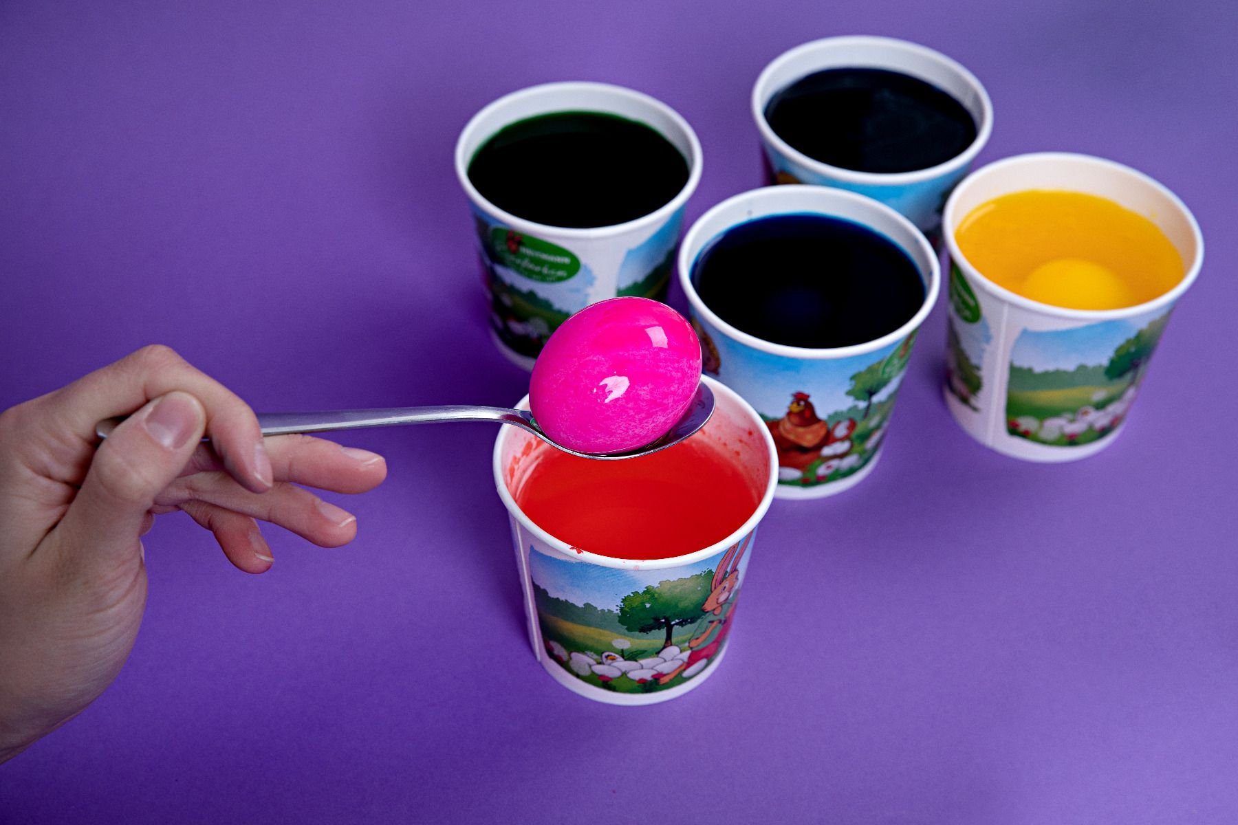 BRAUNS HEITMANN Osterei Heitmann Ostereierfarbe Buntes Färbeset 1007239