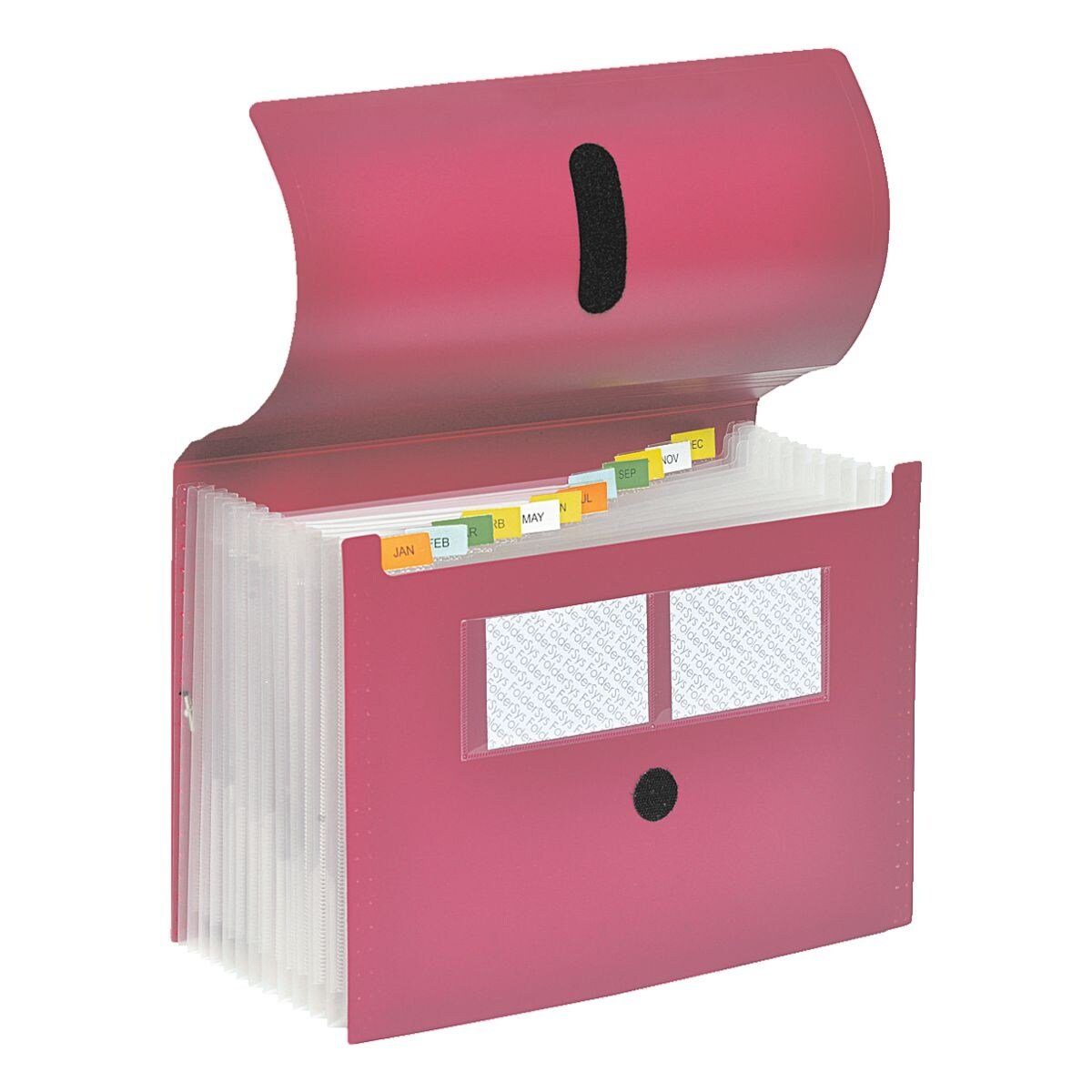 FOLDERSYS Fächermappe, 12 Fächer (dehnbar) günstig online kaufen