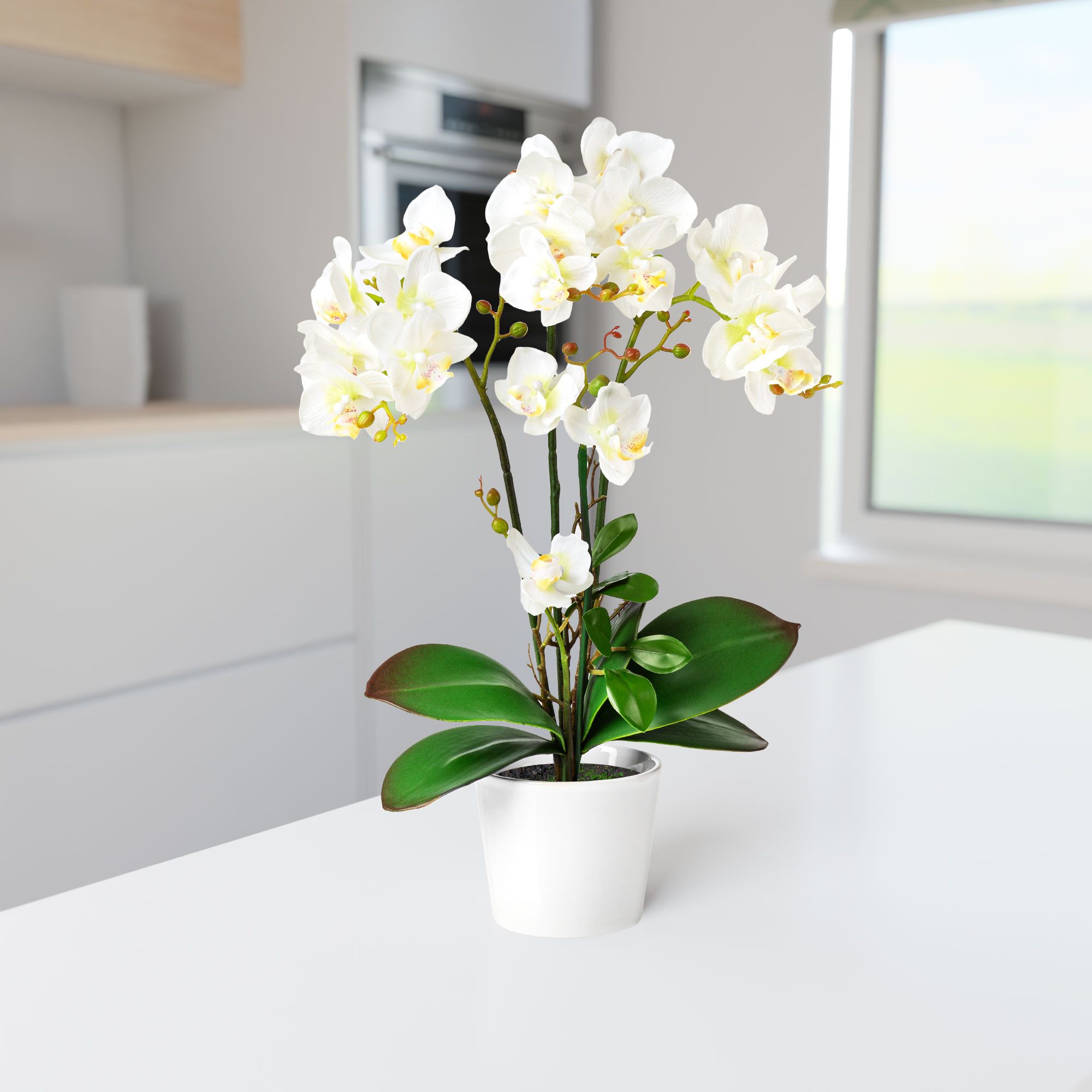 Kunstorchidee PASCH® Orchidee künstlich wie echt (46cm) in Hochglanz-Keramiktopf Orchidee, PASCH, Real Touch