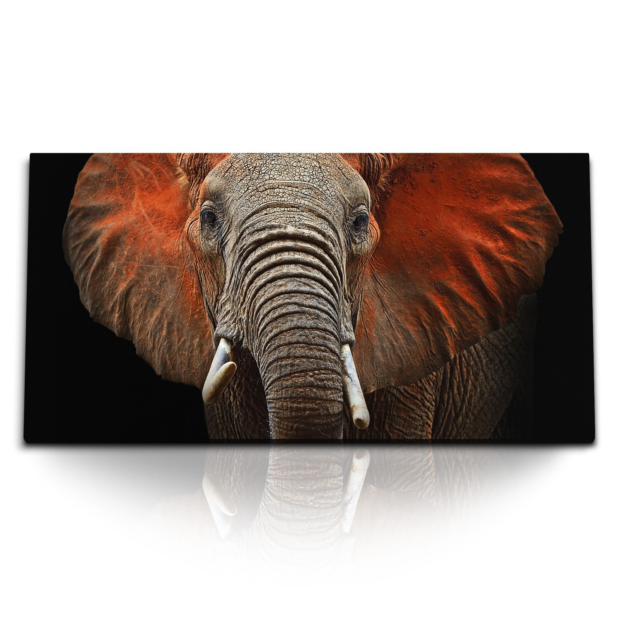 Leinwandbild Kunstdruck Bilder 120x60cm Elefant Tierfotografie schwarzer Hintergrun