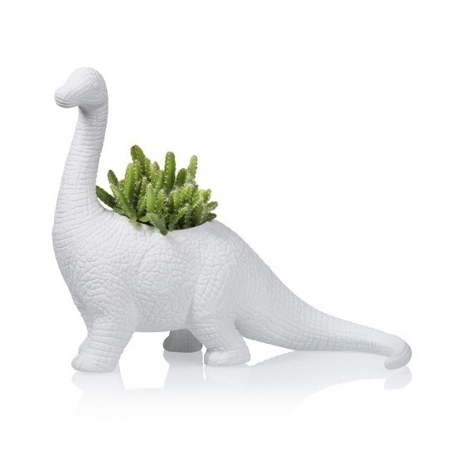 bitten Blumentopf Plantosaurus Dino Blumentopf aus Porzellan günstig online kaufen