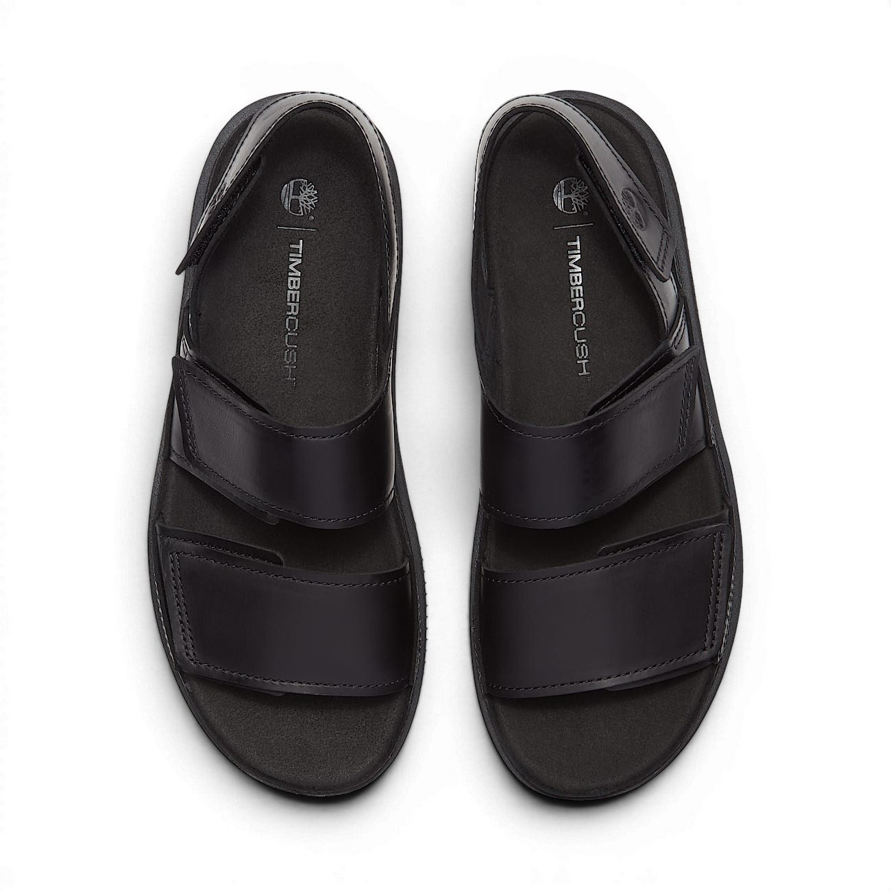 Timberland Casco Cove (Premium Leder) schwarz Herren Sandale