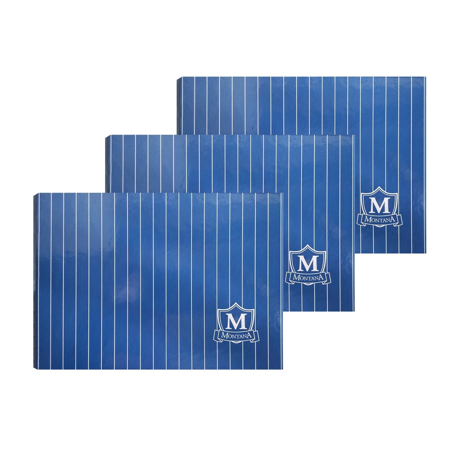 Herlitz Bankordner Ordner für Kontoauszüge 3er Set Bankordner