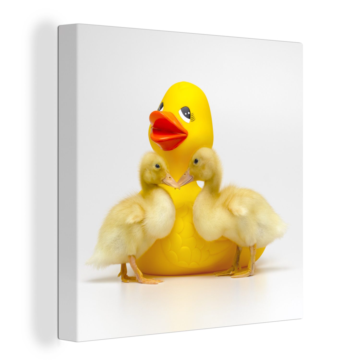 OneMillionCanvasses® Leinwandbild Bade-Ente mit zwei Baby-Enten auf weißem Hintergrund, (1 St), Leinwand Bilder für Wohnzimmer Schlafzimmer