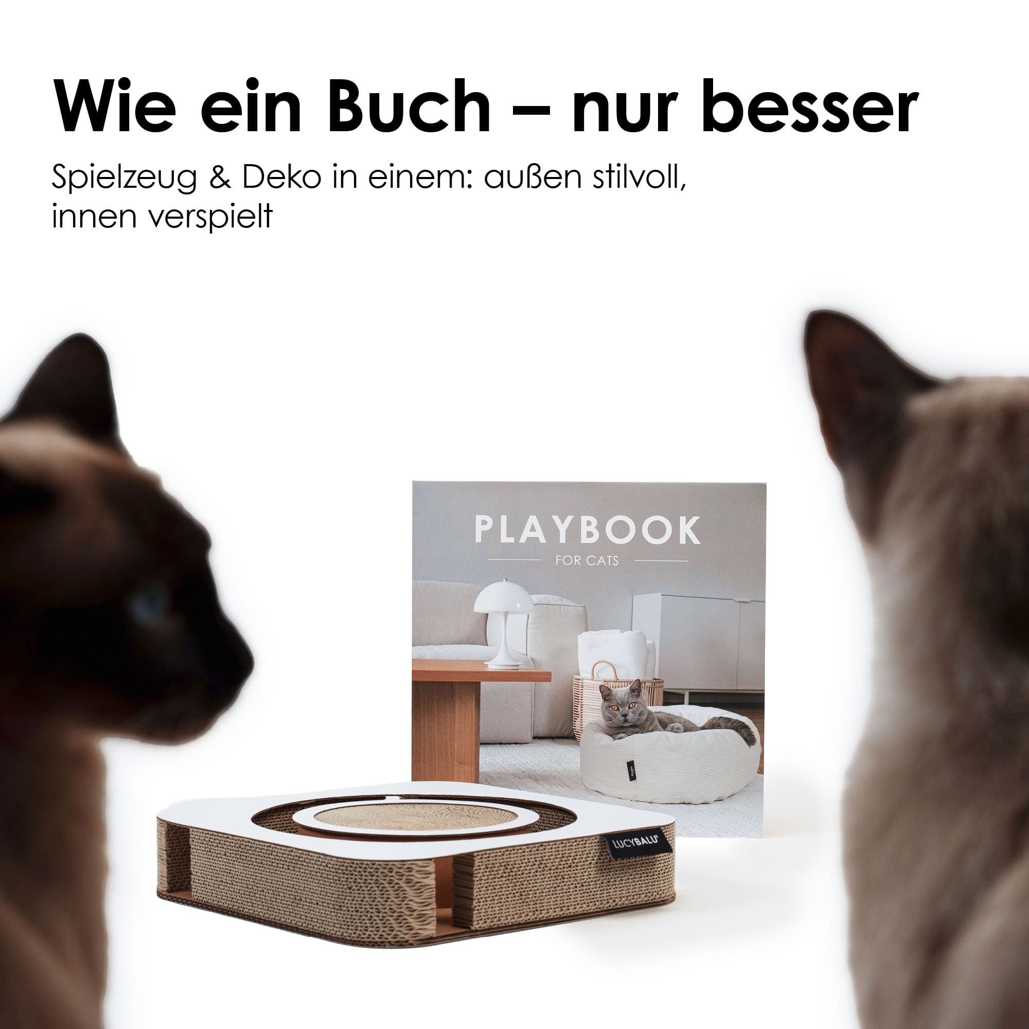 LucyBalu Tier-Beschäftigungsspielzeug PLAYBOOK Interaktives Katzen Spielzeug, Kratzbrett mit Ball, Katzenspielzeug mit Table-Book-Hülle