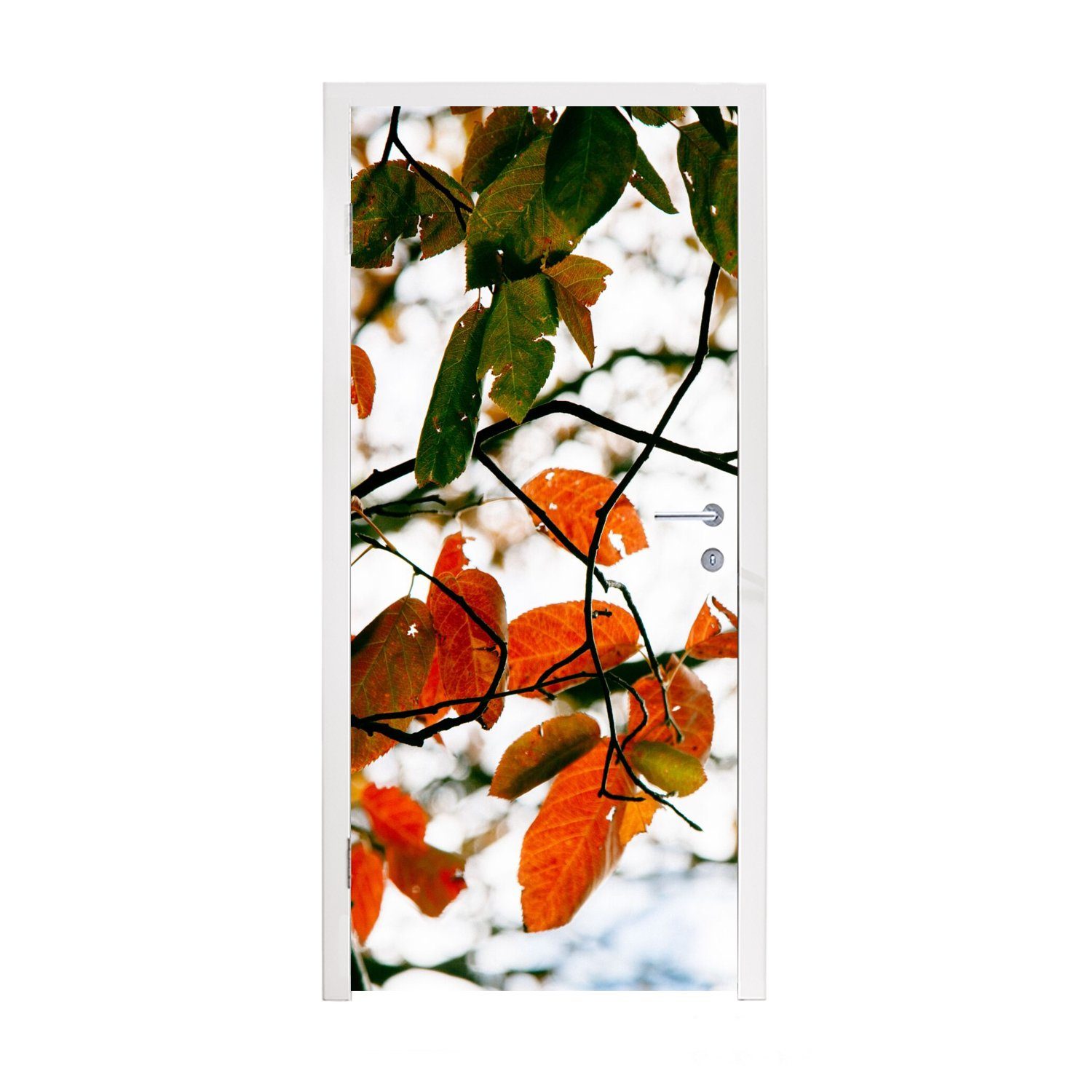 MuchoWow Türtapete Herbst - Blätter - Landleben - Jahreszeiten, Matt, bedruckt, (1 St), Fototapete für Tür, Türaufkleber, 75x205 cm