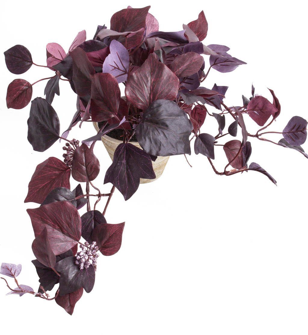Künstliche Zimmerpflanze Hängebusch Efeu, Botanic-Haus, Höhe 35 cm