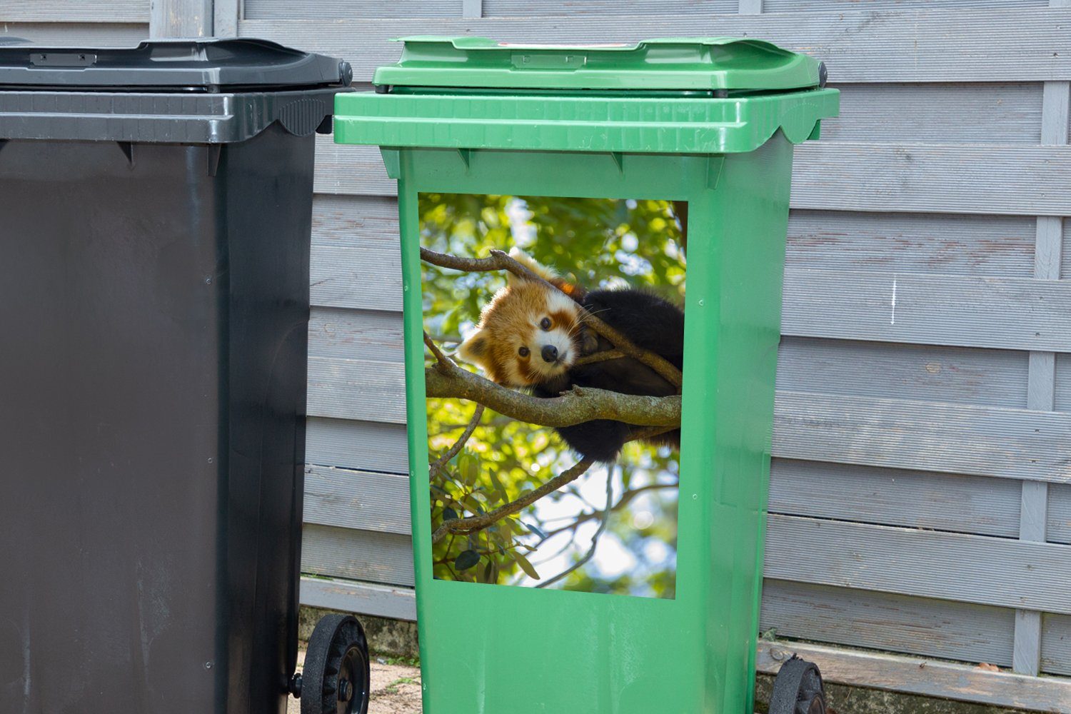 - St), - MuchoWow Mülleimer-aufkleber, Wandsticker Mülltonne, Sticker, Rot Container, Abfalbehälter (1 Nahaufnahme Panda