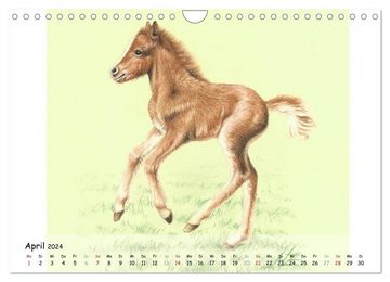 CALVENDO Wandkalender Arts & Horses (Wandkalender 2024 DIN A4 quer), CALVENDO Monatskalender