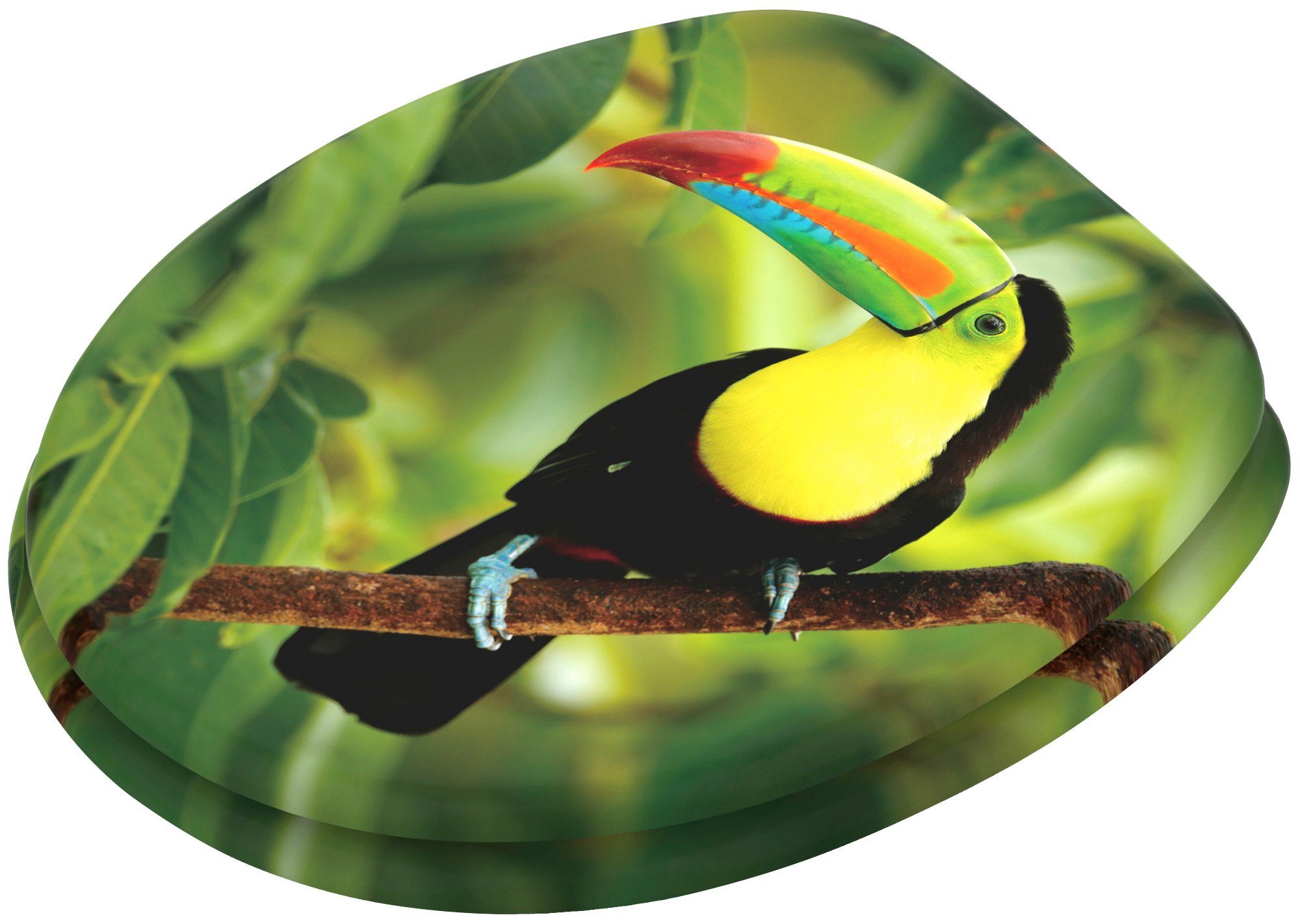 Sanilo WC-Sitz Toucan, mit Absenkautomatik, BxL: 37,7 x 42,0 - 47,0 cm