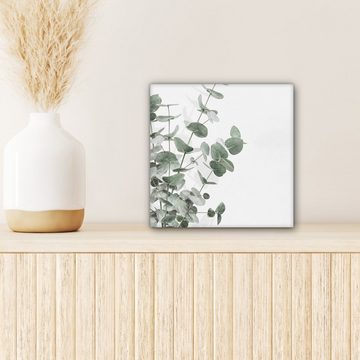 OneMillionCanvasses® Leinwandbild Eukalyptus - Blätter - Natur - Grün, (1 St), Leinwand Bilder für Wohnzimmer Schlafzimmer, 20x20 cm