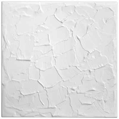 Hexim Wanddekoobjekt NR.11 (Deckenplatten aus Styropor XPS - (2QM Sparpaket 50x50cm) weiße Dekorplatten leicht & formfest Styroporplatten Paneele Deckenverkleidung)