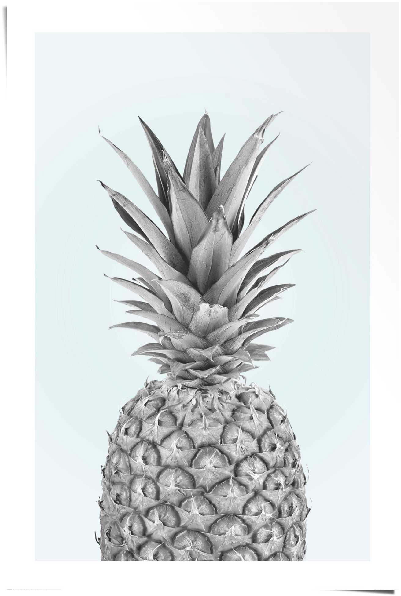 Reinders! Poster Ananas, (1 St) | Poster