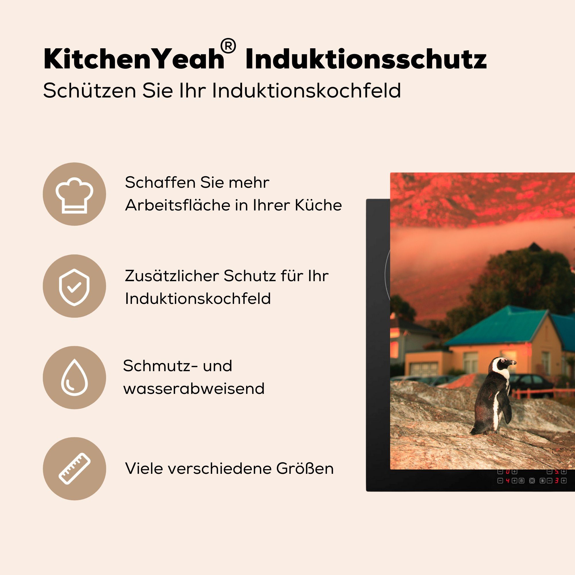 von 78x78 tlg), bei auf Ceranfeldabdeckung, cm, den Beach Pinguin Vinyl, küche MuchoWow Herdblende-/Abdeckplatte Felsen für Sonnenuntergang, Arbeitsplatte Boulders (1