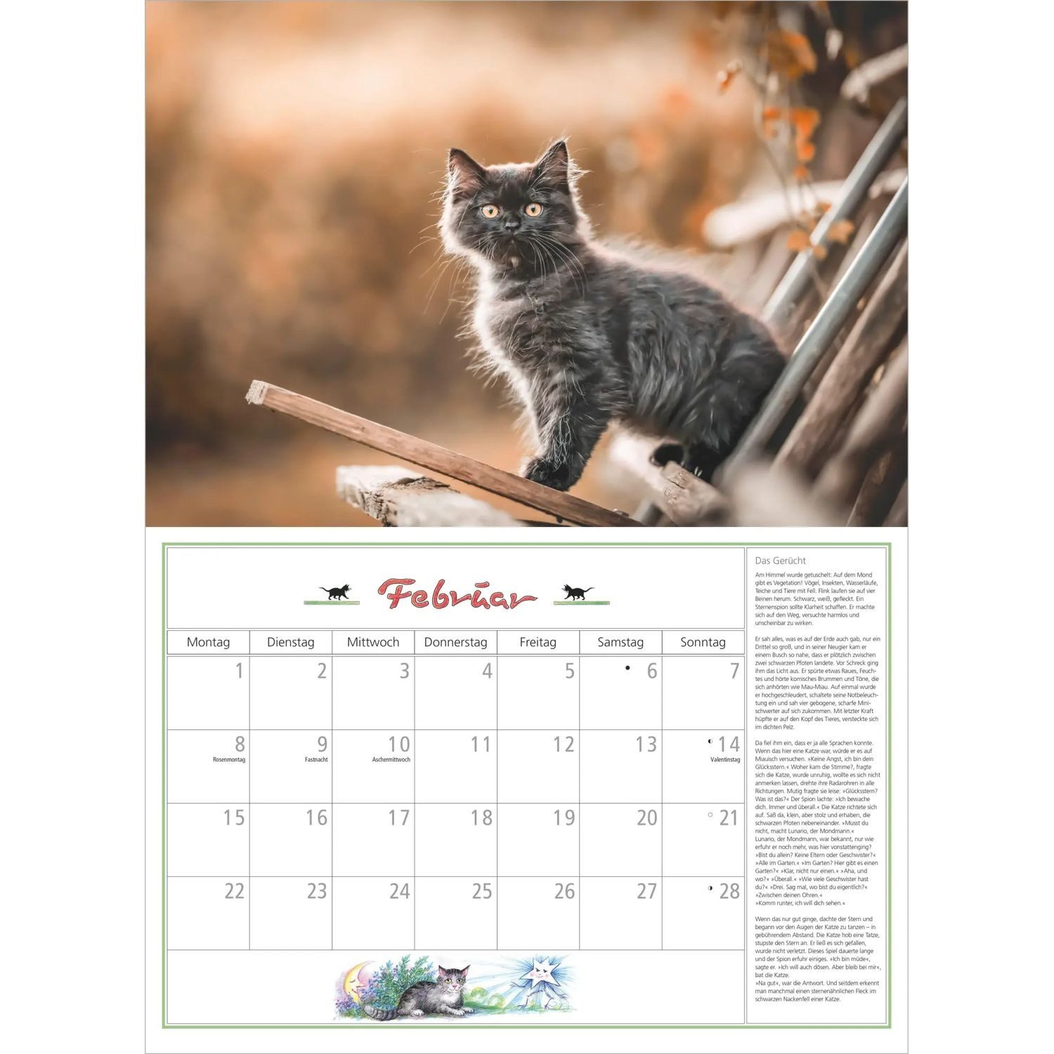 NEUMANN Wandkalender DuMonts Katzen Kalender 2027