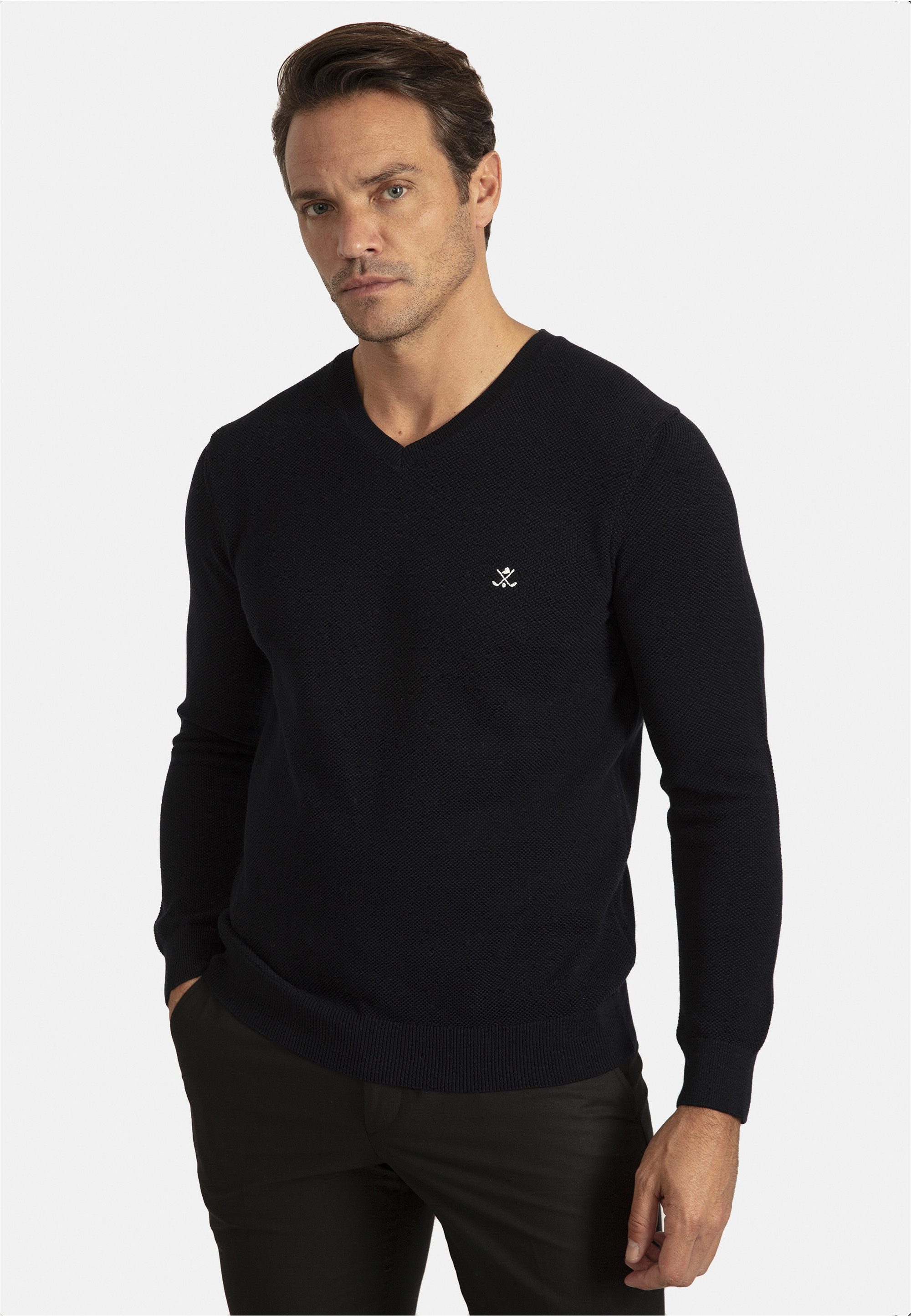 SIR RAYMOND TAILOR V-Ausschnitt-Pullover "Liva", mit elegantem V-Ausschnitt günstig online kaufen