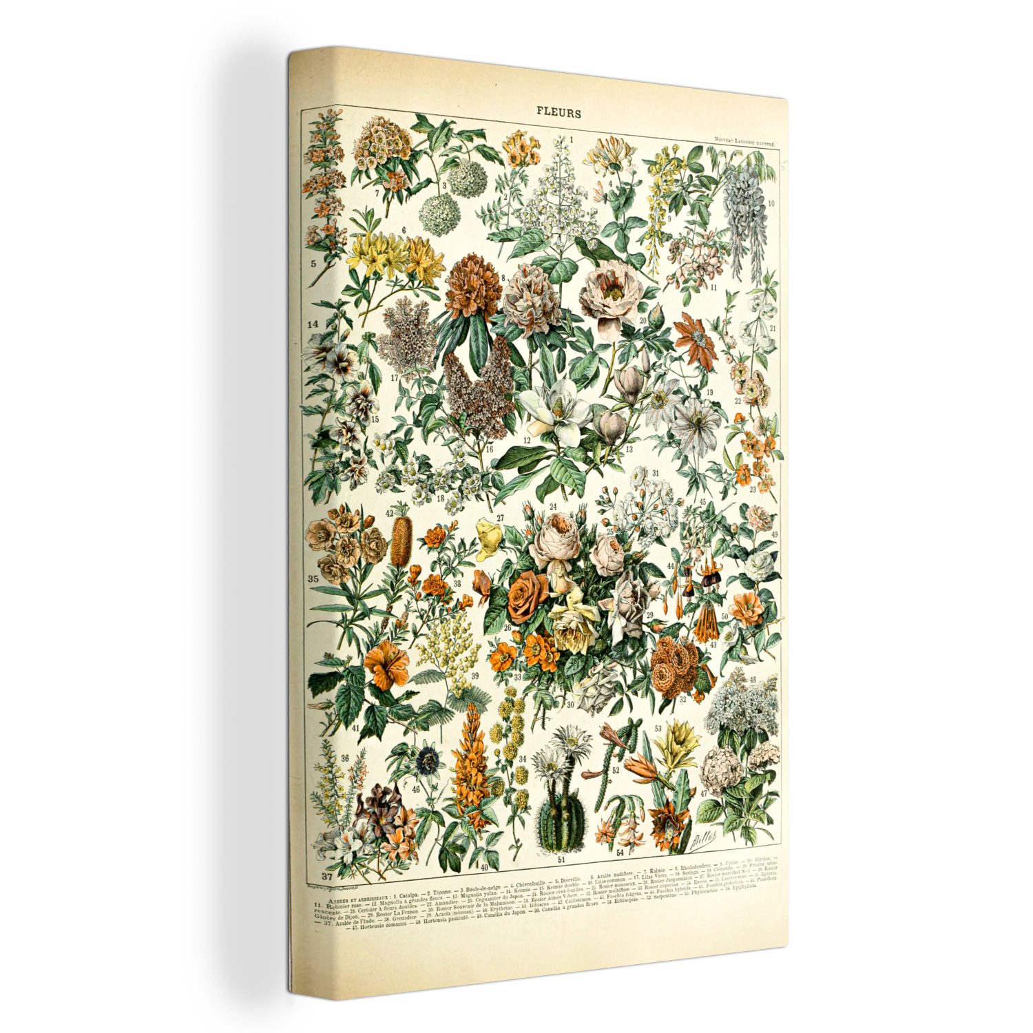 20x30 - Zackenaufhänger, St), Gemälde, Leinwandbild - cm OneMillionCanvasses® Leinwandbild fertig Orange (1 Blumen inkl. bespannt Gelb,