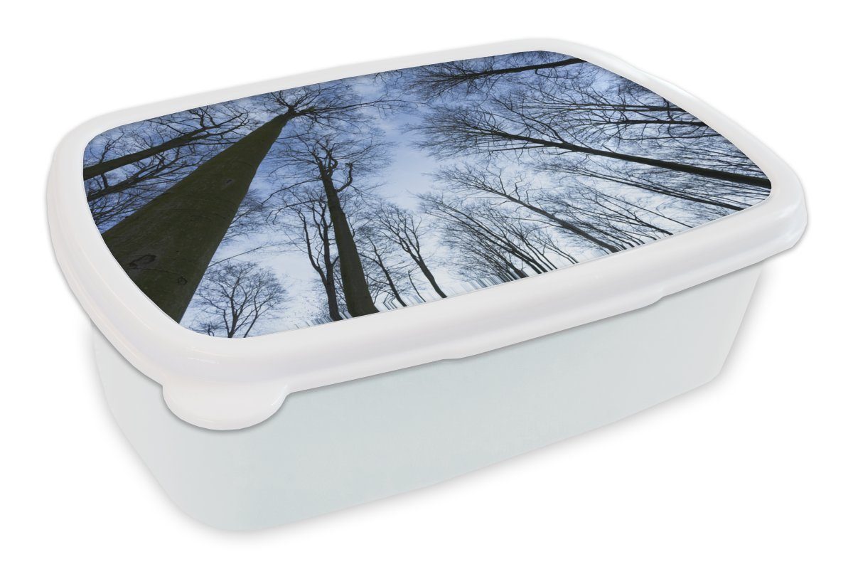 MuchoWow Lunchbox Wald - Bäume - Himmel, Kunststoff, (2-tlg), Brotbox für Kinder und Erwachsene, Brotdose, für Jungs und Mädchen weiß