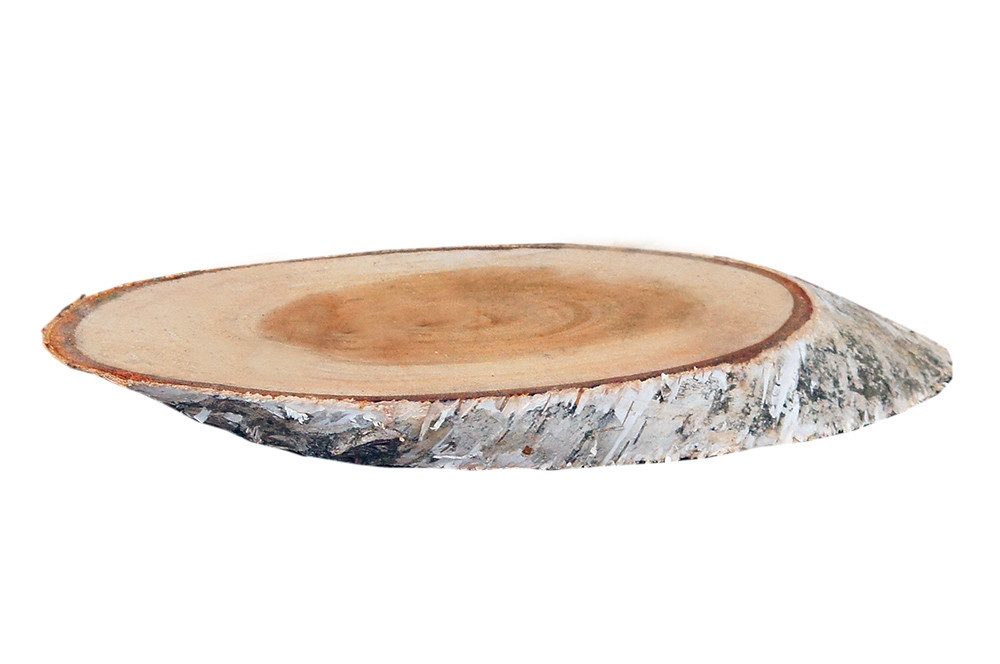 Bastelnaturmaterial Birkenholzscheiben oval 100% Natur 18-30 cm ø