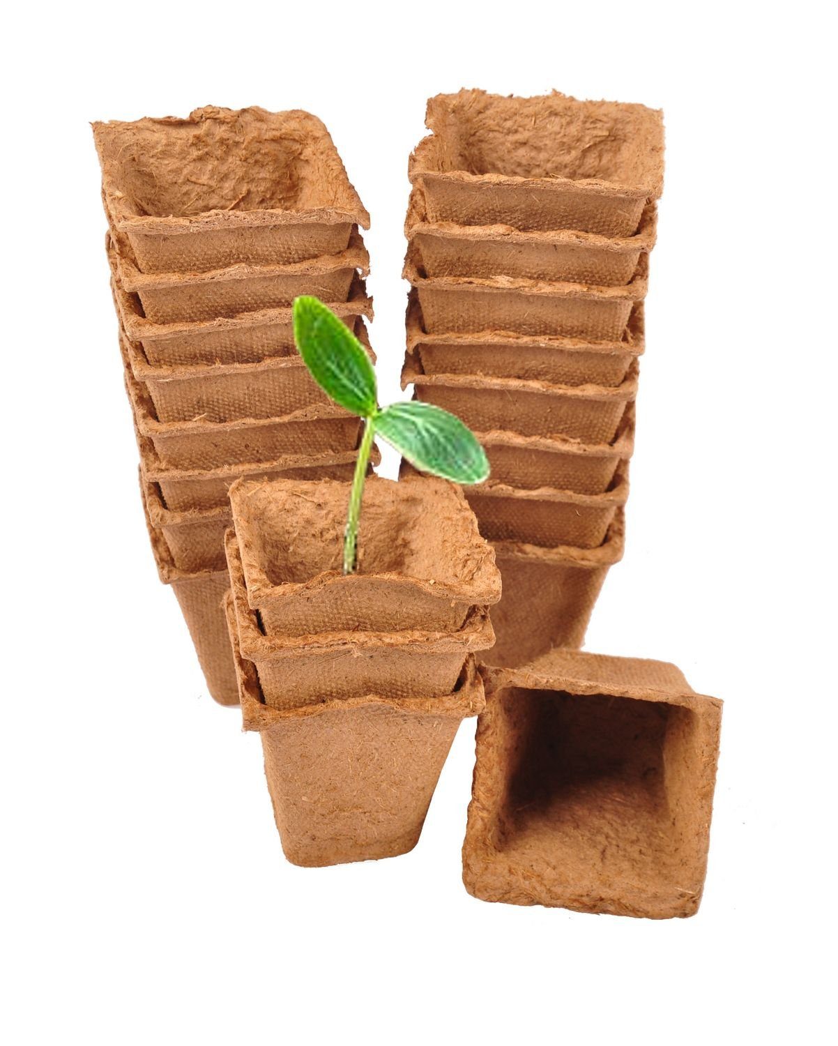 Floraworld Anzuchttopf Anzuchttöpfe 20 Stück 6cm Pflanzschalen Aussaattöpfe Ziehtöpfe Blument