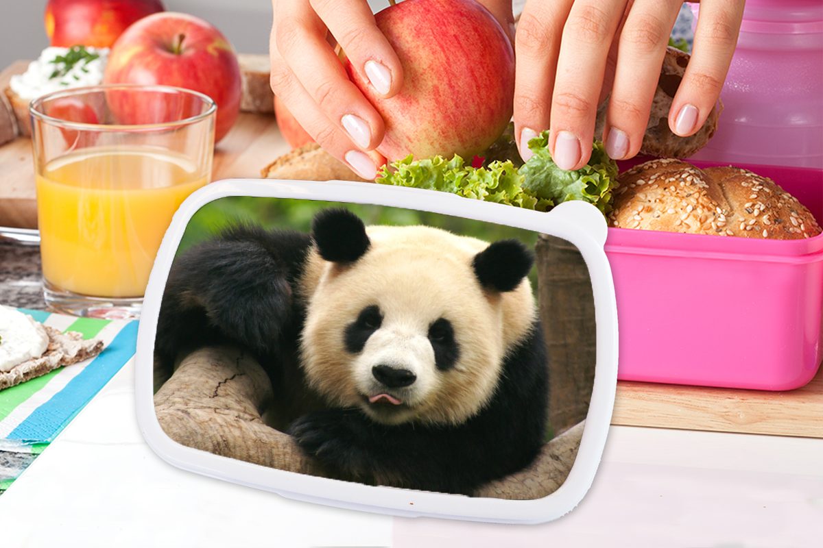 MuchoWow Kunststoff, Bäume, Mädchen, Brotbox Snackbox, Kinder, Erwachsene, für Lunchbox Kunststoff - rosa (2-tlg), Brotdose Panda - Tiere