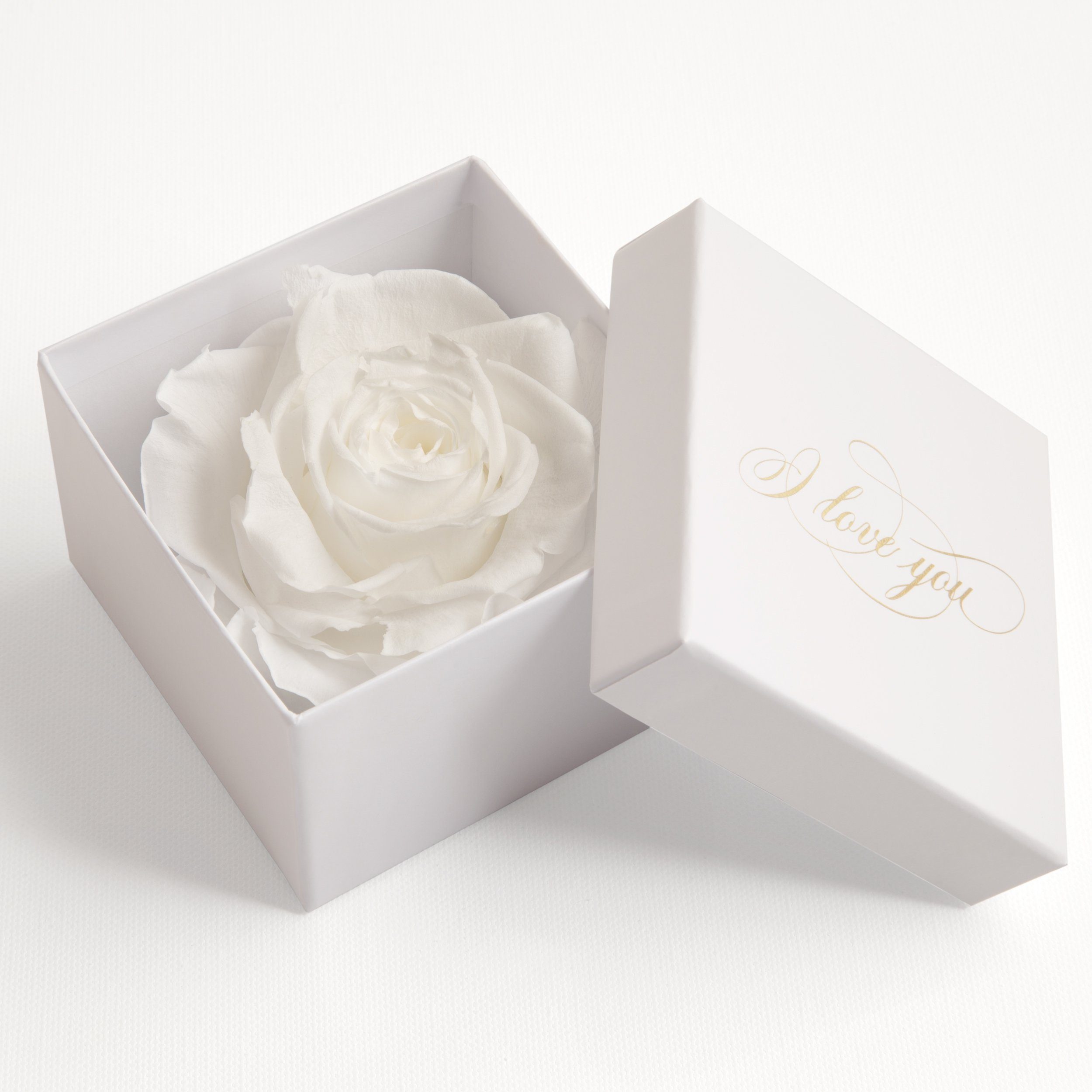 Kunstblume Infinity Rose in Box weiß I LOVE YOU Geschenk Frauen Liebesbeweis Valentinstag Rose, ROSEMARIE SCHULZ Heidelberg, Höhe 6 cm, Rose haltbar bis zu 3 Jahre