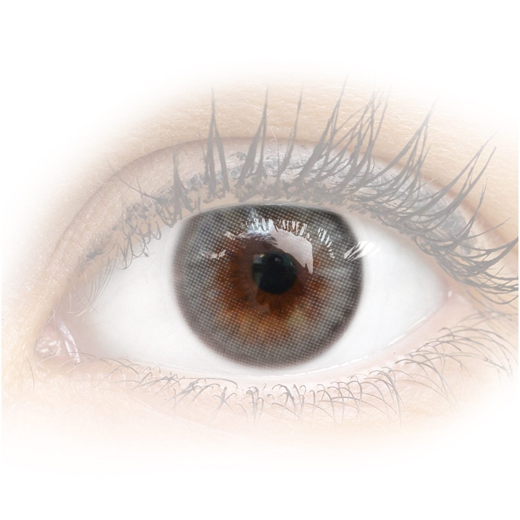 GLAMLENS Monatslinsen Sehr stark deckende und natürliche graue Linsen "Augusta Ice Gray"