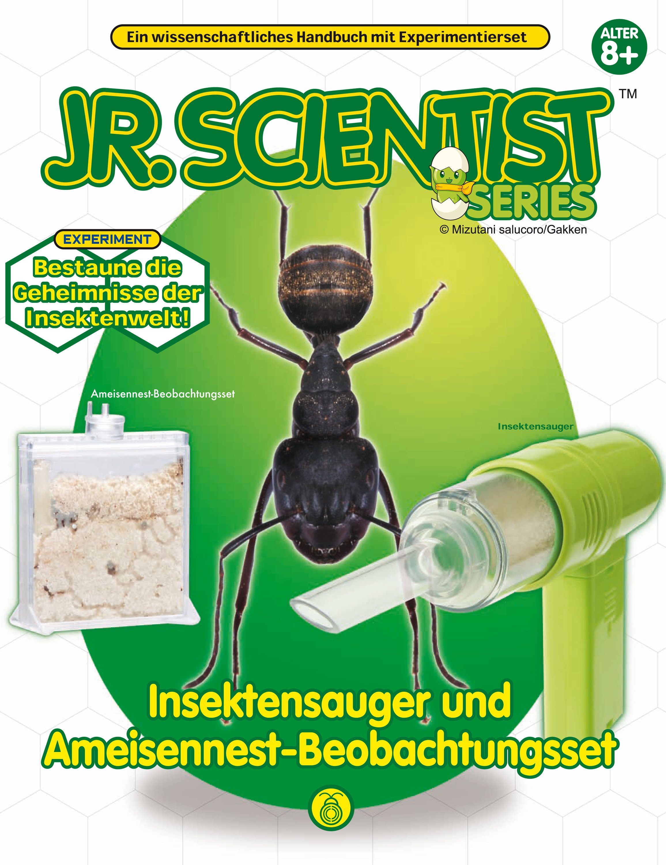 beobachten (1-tlg) Experimentierkasten Insekten GK003, Edu-Toys