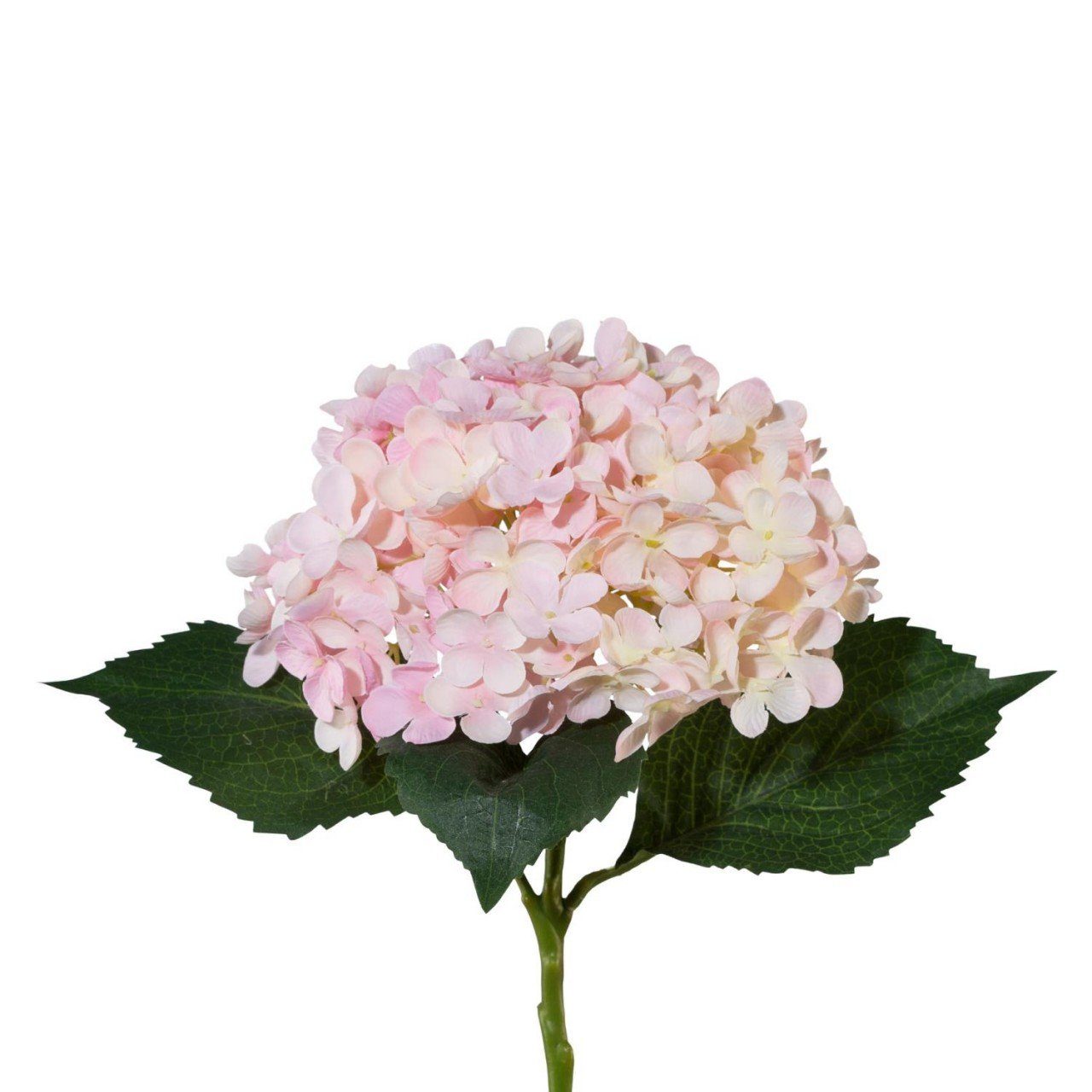 Kunstpflanze, Gasper, Höhe 53 cm, Rosa H:53cm Kunststoff