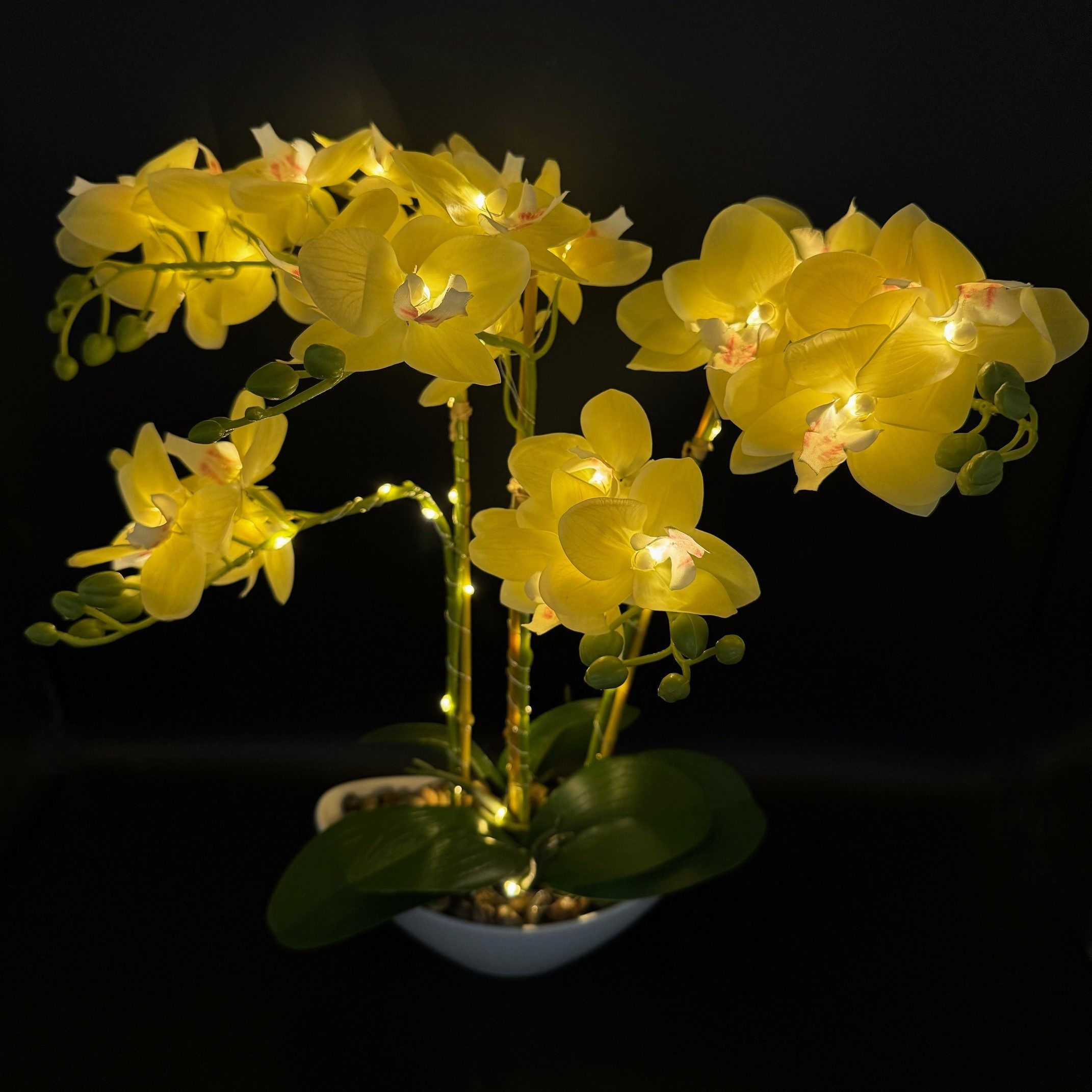 Kunstpflanze Künstliche Blumen, Pflanzen im Topf mit 50 LEDs beleuchtet - Orchideen, Online-Fuchs, - 6-Stunden-Timerfunktion