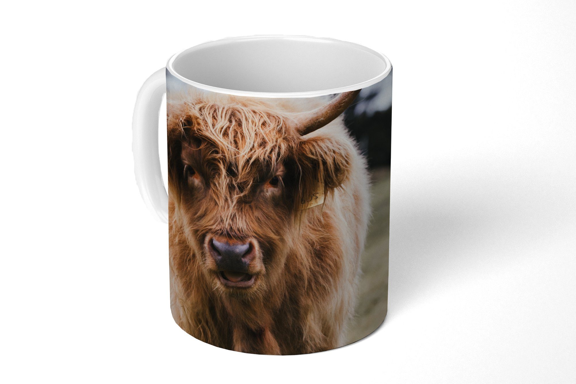 MuchoWow Tasse Scottish Highlander - Nutztiere - Gras, Keramik, Kaffeetassen, Teetasse, Becher, Teetasse, Geschenk