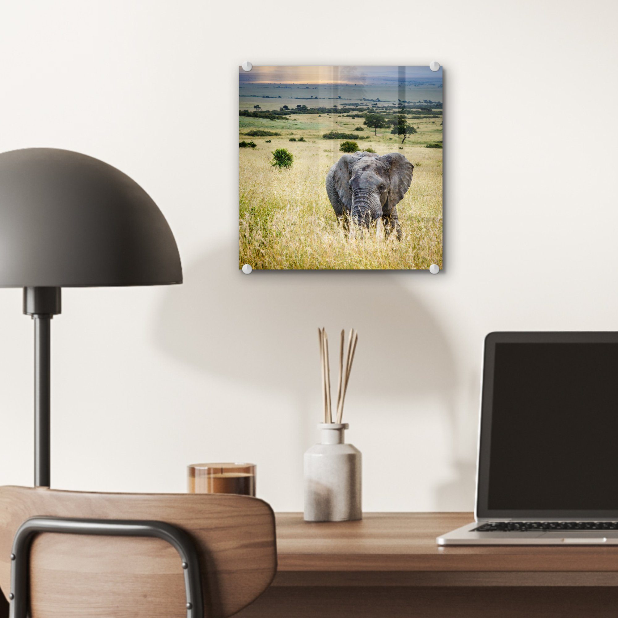 MuchoWow Acrylglasbild - (1 - Elefant - Sonne auf Foto St), Landschaft - - Bilder Tiere auf - Natur, Glas Glas - Wanddekoration Wandbild Glasbilder