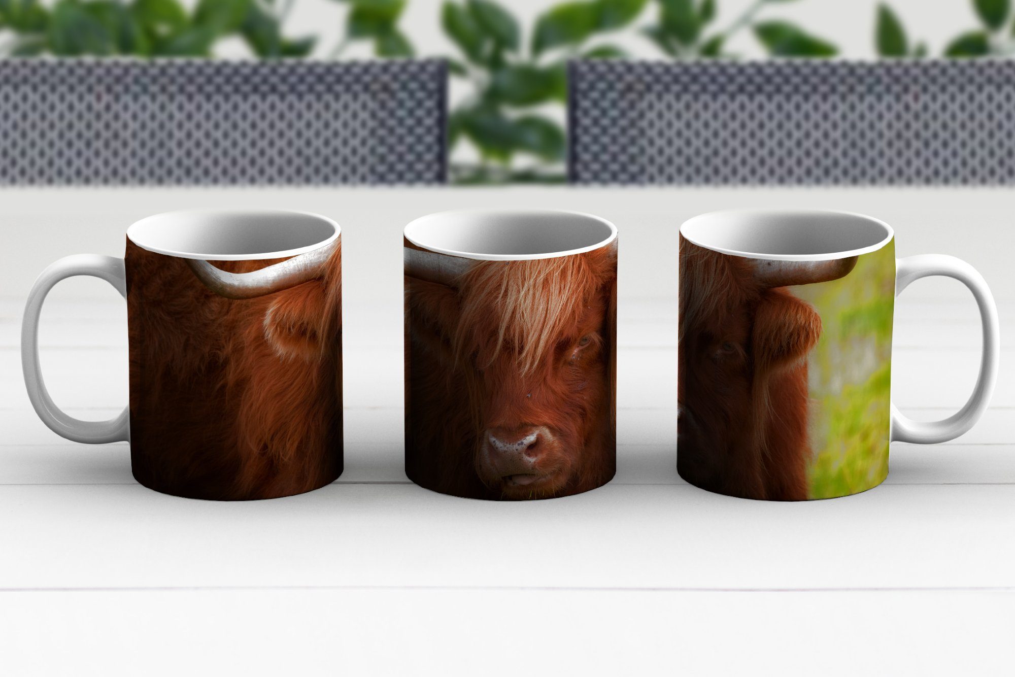 MuchoWow - Tasse Kaffeetassen, Schottischer Orange - Teetasse, Keramik, Tiere, Geschenk Teetasse, Becher, Highlander