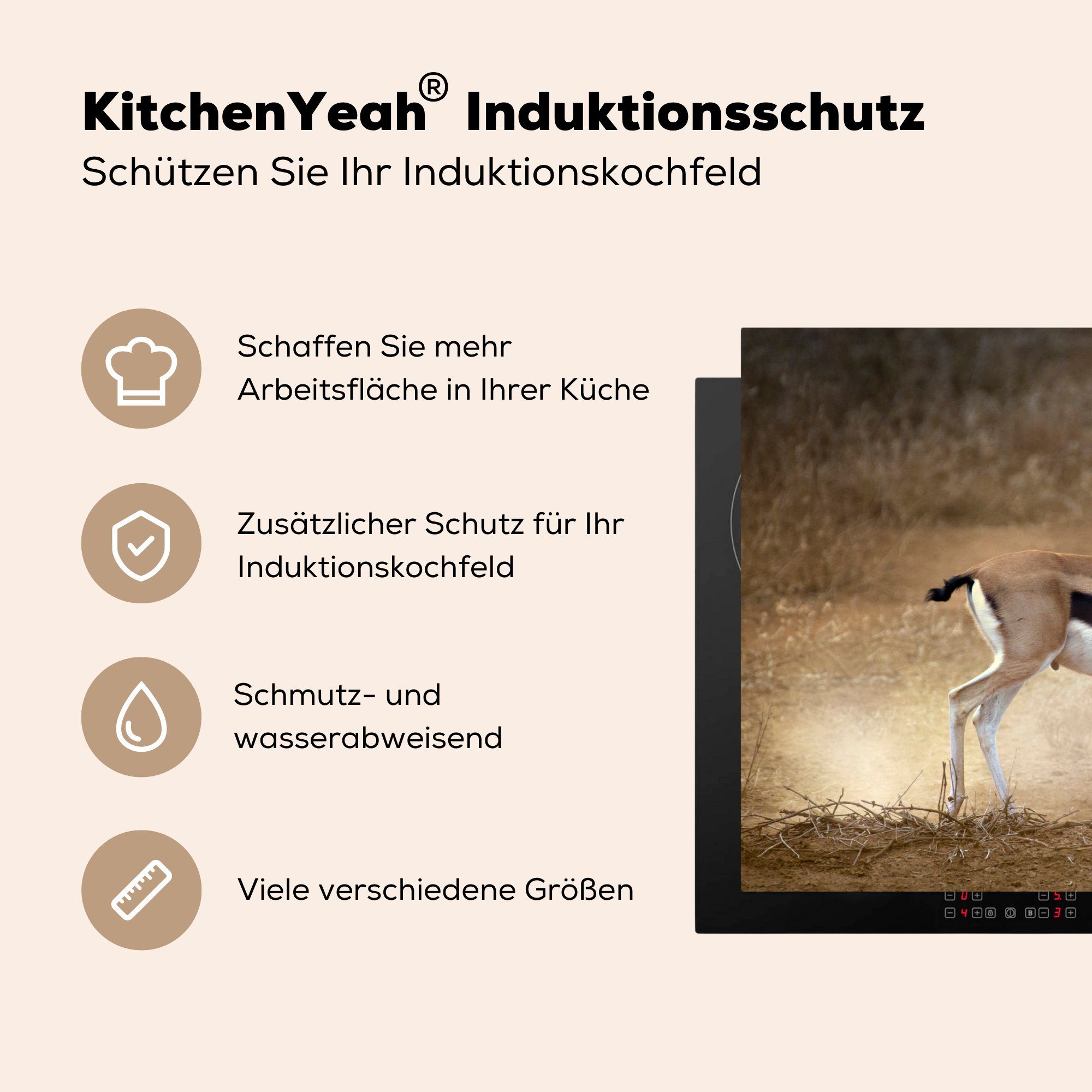 MuchoWow Herdblende-/Abdeckplatte Gazelle - Stoff - tlg), die küche, für cm, Schutz Vinyl, 71x52 Ceranfeldabdeckung (1 Induktionskochfeld Safari