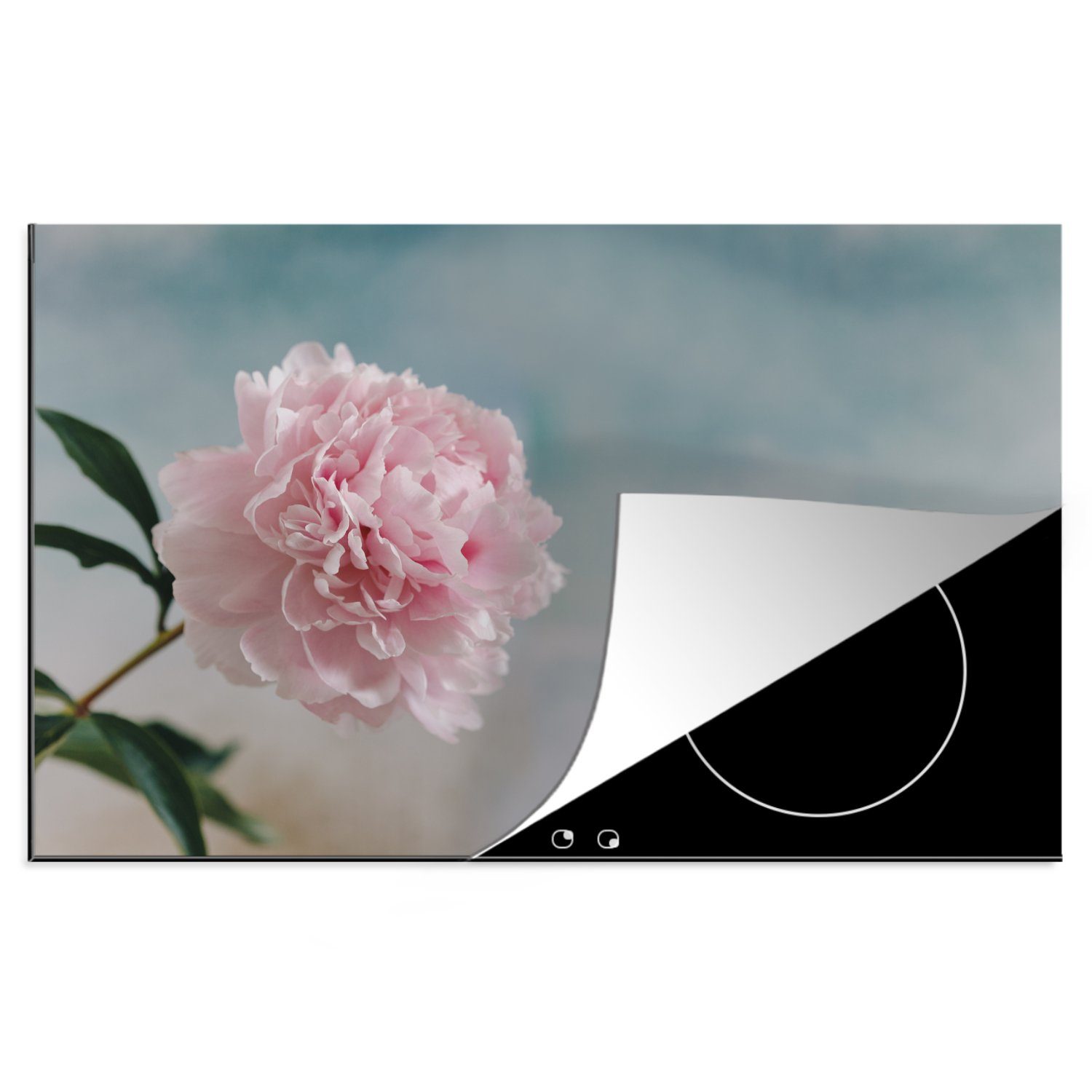 MuchoWow Herdblende-/Abdeckplatte Rosa Pfingstrose auf grauem Hintergrund, Vinyl, (1 tlg), 81x52 cm, Induktionskochfeld Schutz für die küche, Ceranfeldabdeckung