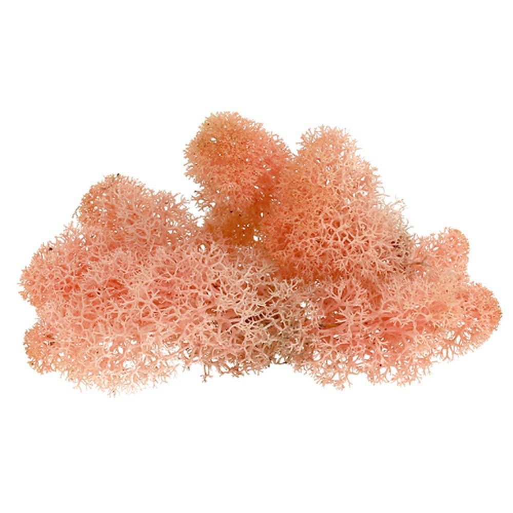 Bastelmoos Deko-Moos Islandmoos Rosa 400g - Ideal für Basteln, Floristik