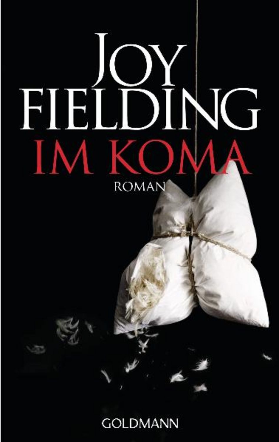 Im Koma / Joy Fielding