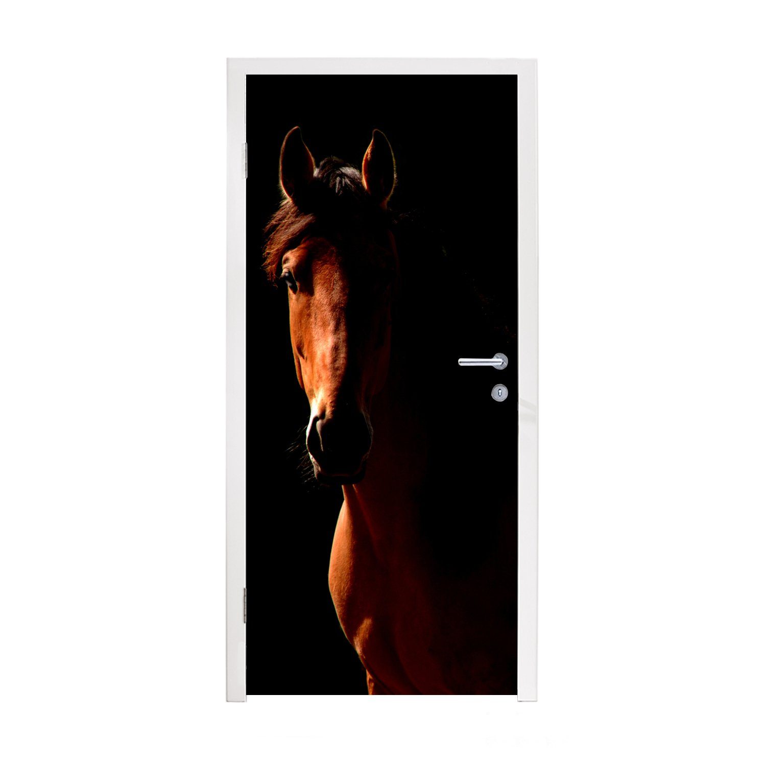 MuchoWow Türtapete Pferd - Licht - Porträt, Matt, bedruckt, (1 St), Fototapete für Tür, Türaufkleber, 75x205 cm | Türtapeten