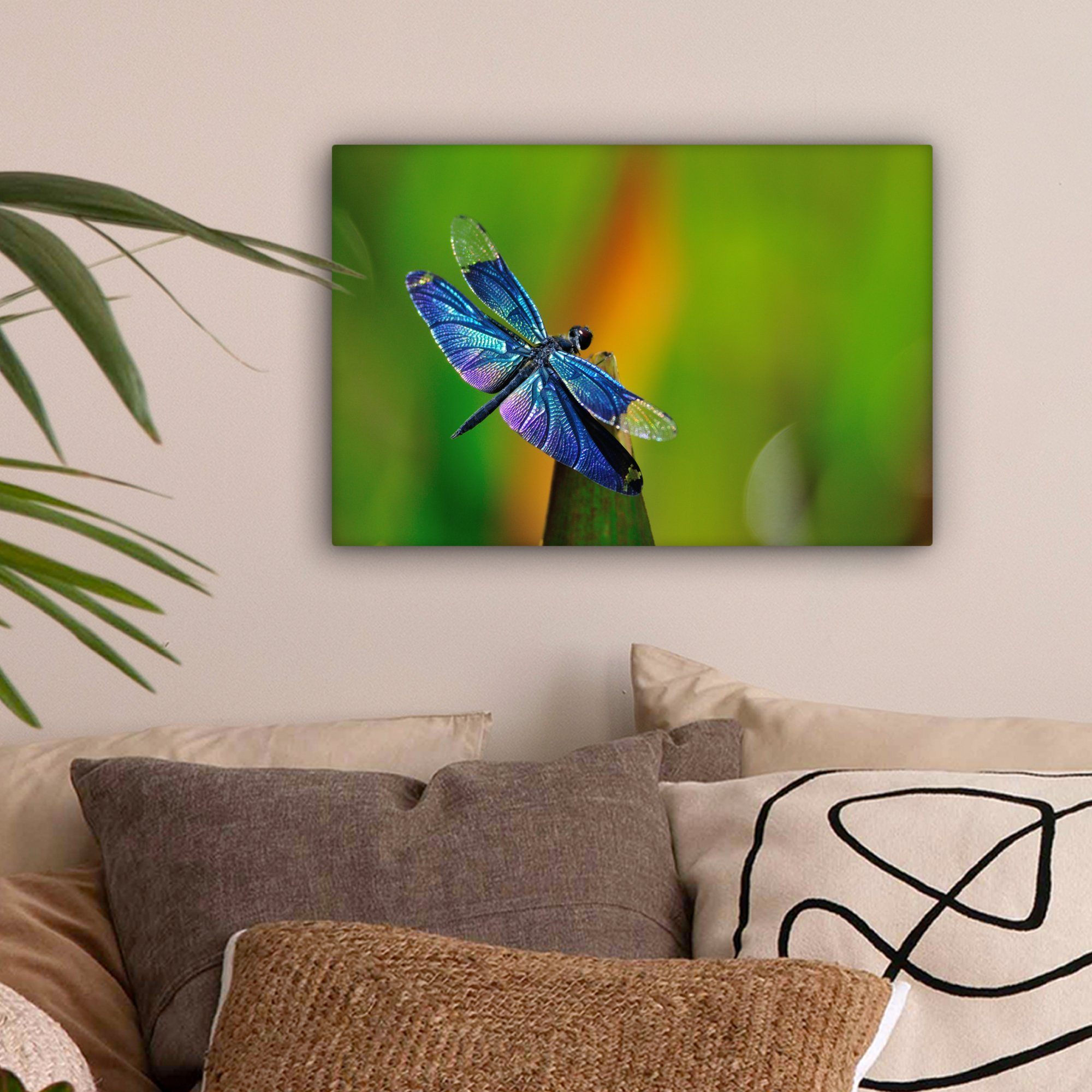 cm Wandbild Libelle, Eine Wanddeko, Aufhängefertig, (1 OneMillionCanvasses® Leinwandbilder, blaue Leinwandbild 30x20 St),