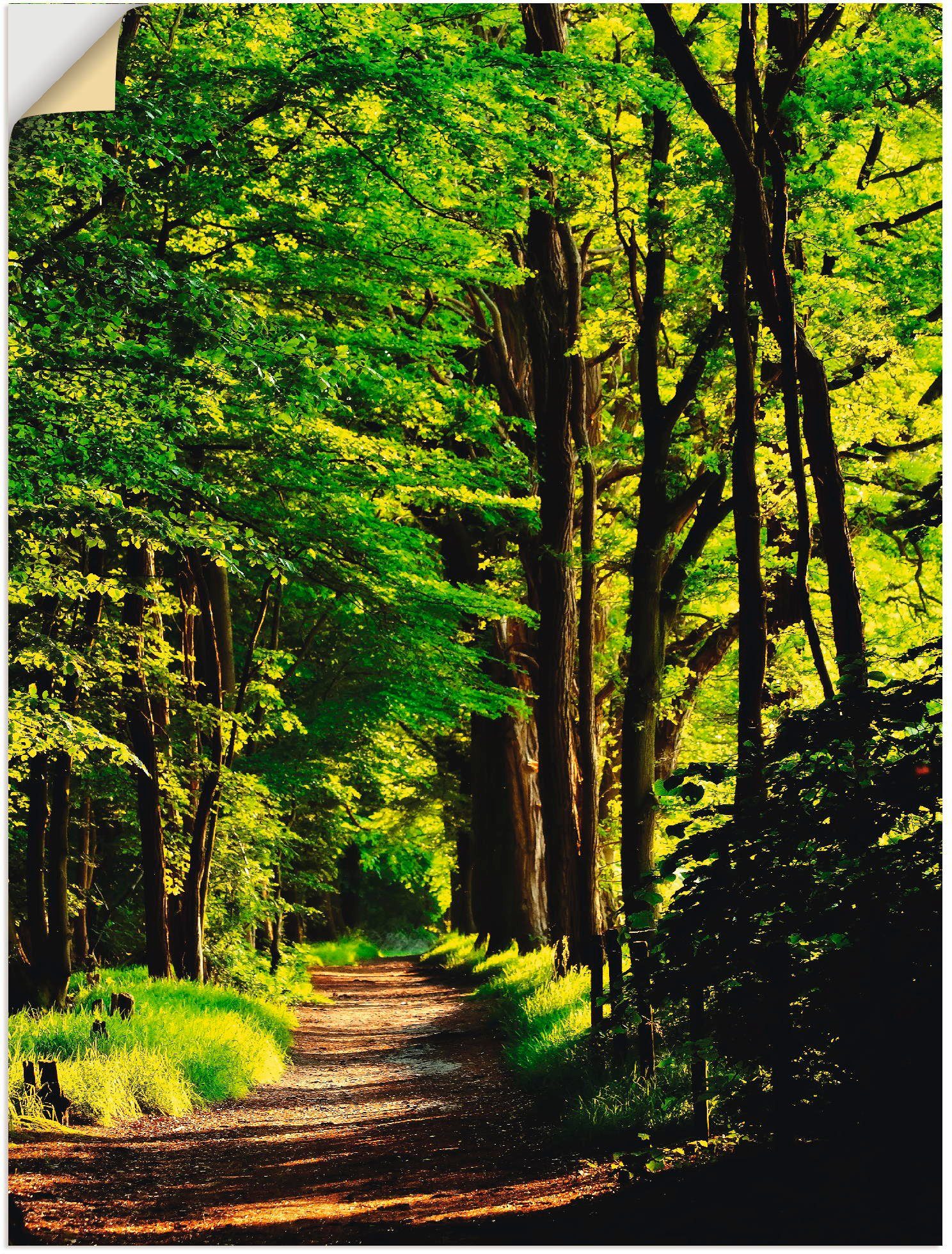 im Wandbild Größen Wandaufkleber Weg Poster Artland oder (1 Wald, Wald Alubild, St), als in versch. Leinwandbild,