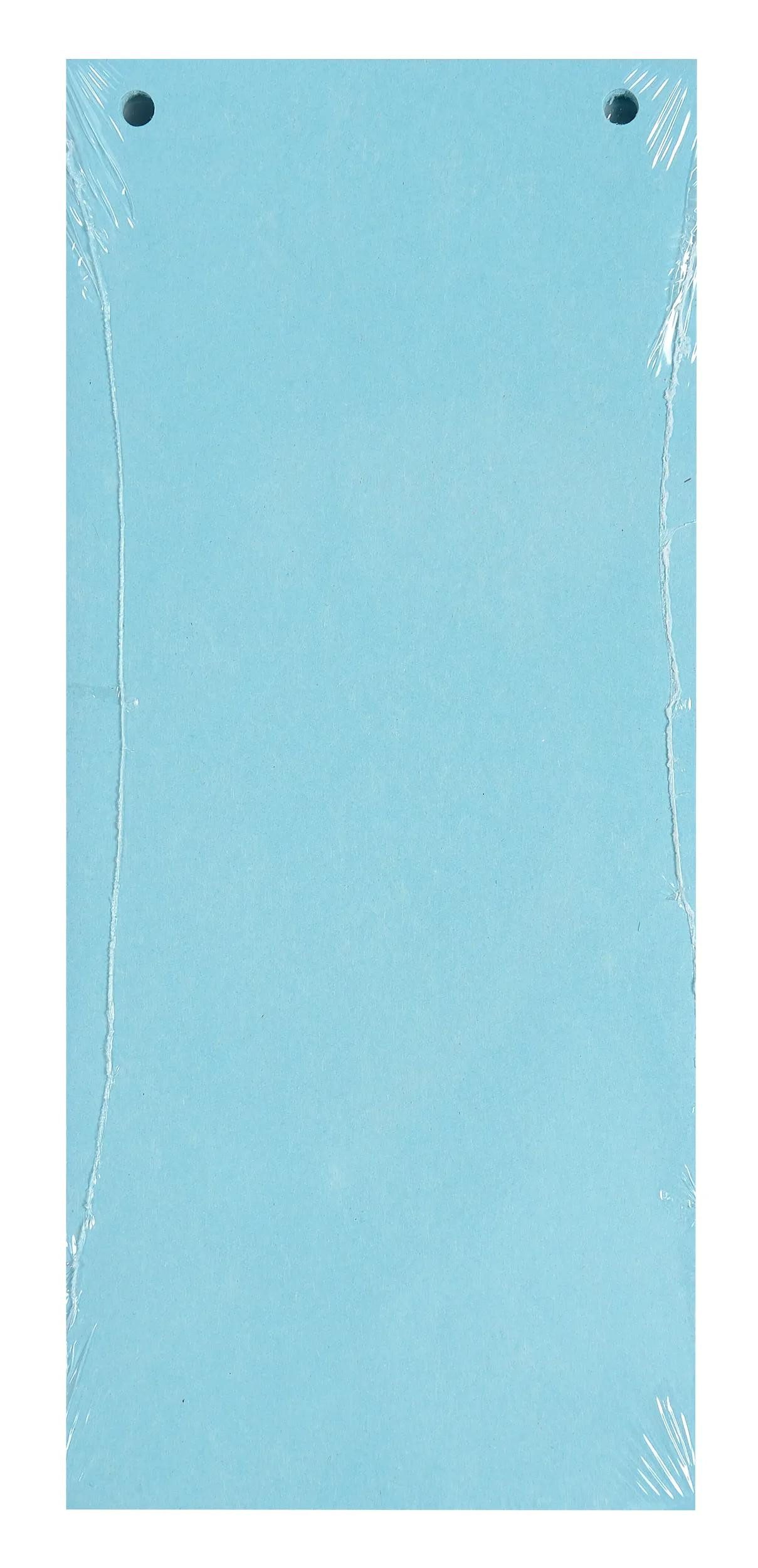 EXACOMPTA Aktenordner 12x 100 Trennstreifen 2-fach gelocht RC Kart 105x240mm Hellblau 13415B, Karton recycling Register