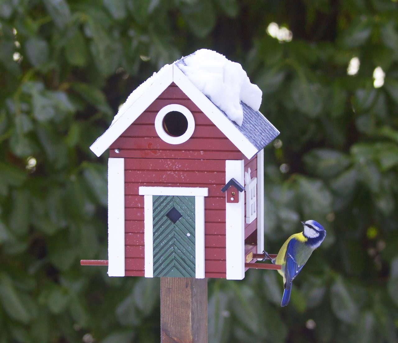 Wildlife Garden Vogelhaus