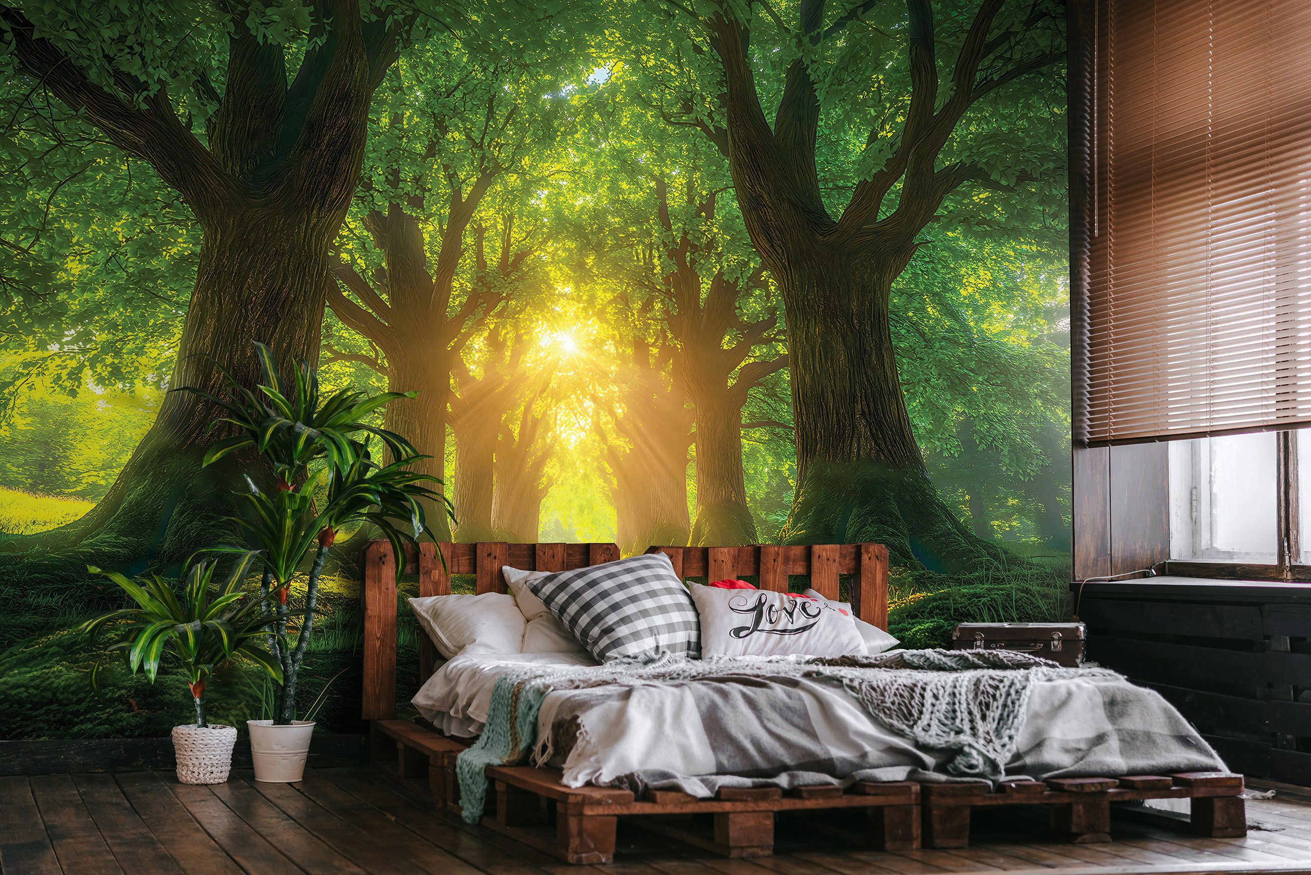 Wallarena Fototapete Wald Sonne Natur Vlies günstig online kaufen