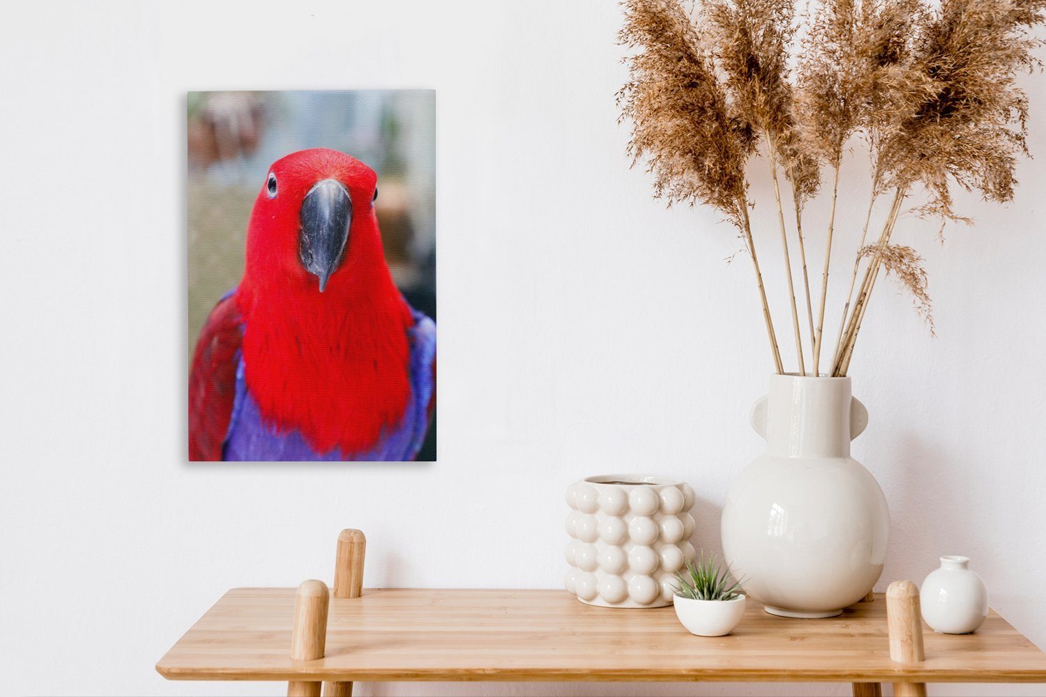 OneMillionCanvasses® Leinwandbild Leinwandbild fertig schaut bespannt die Edler St), cm 20x30 direkt Kamera, Zackenaufhänger, in inkl. (1 Papagei Gemälde